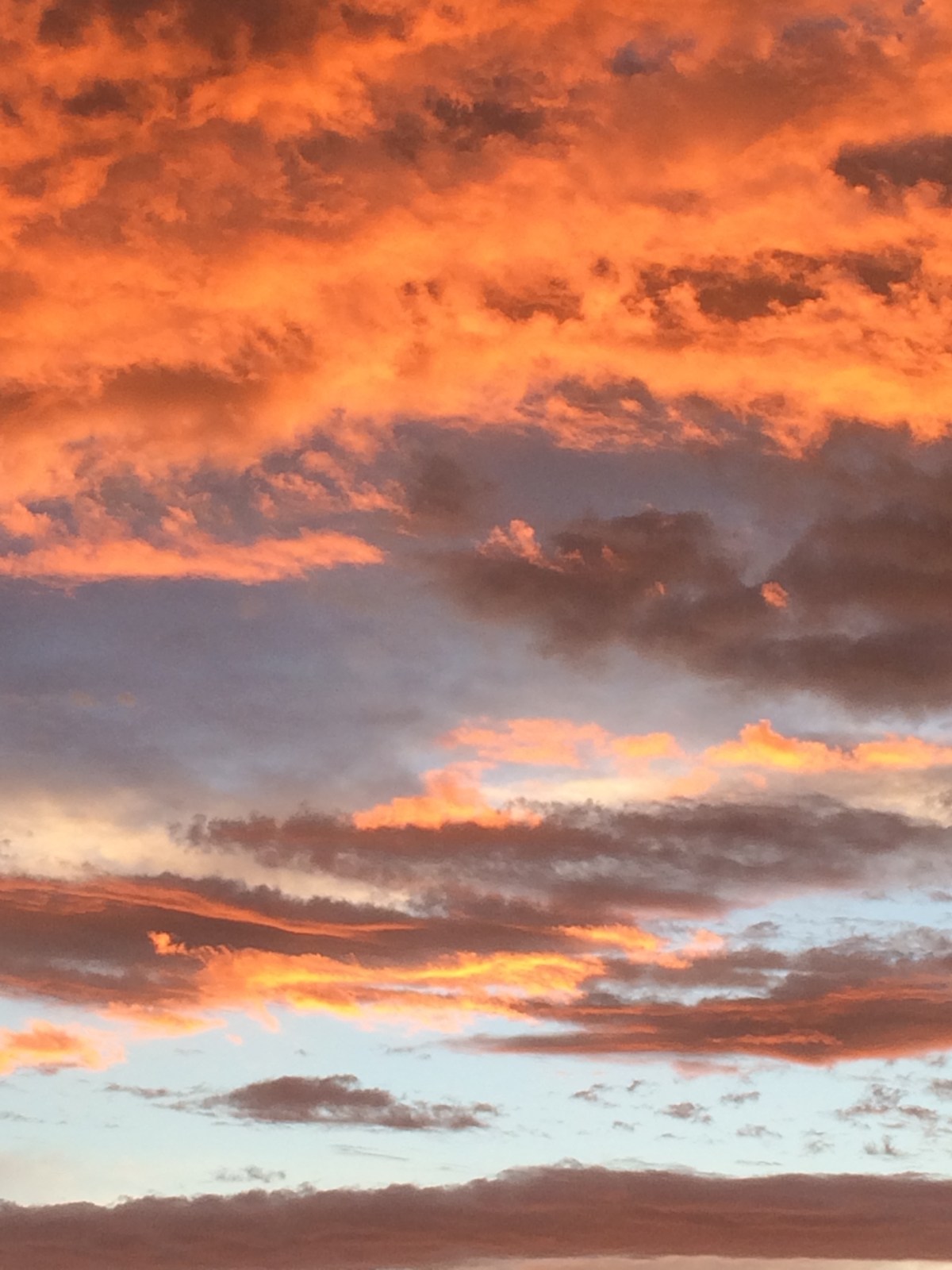 On a Place for&nbsp;You