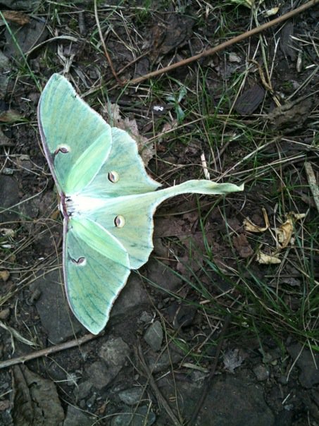 36981_124700510904792_6749964_n