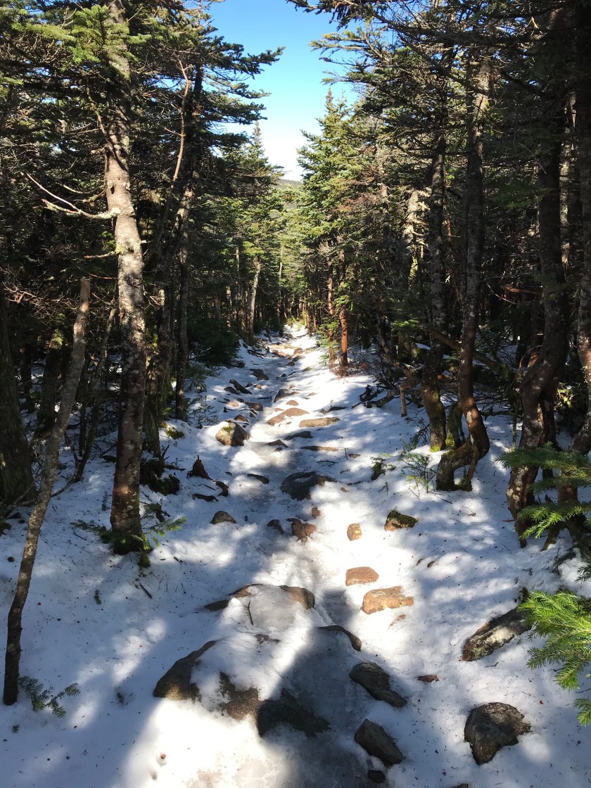 2eitc7+xT16XgQLTeONn1Q