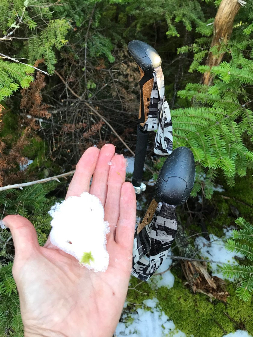 d5FTW+S7RNyR7a2jaNO4rw