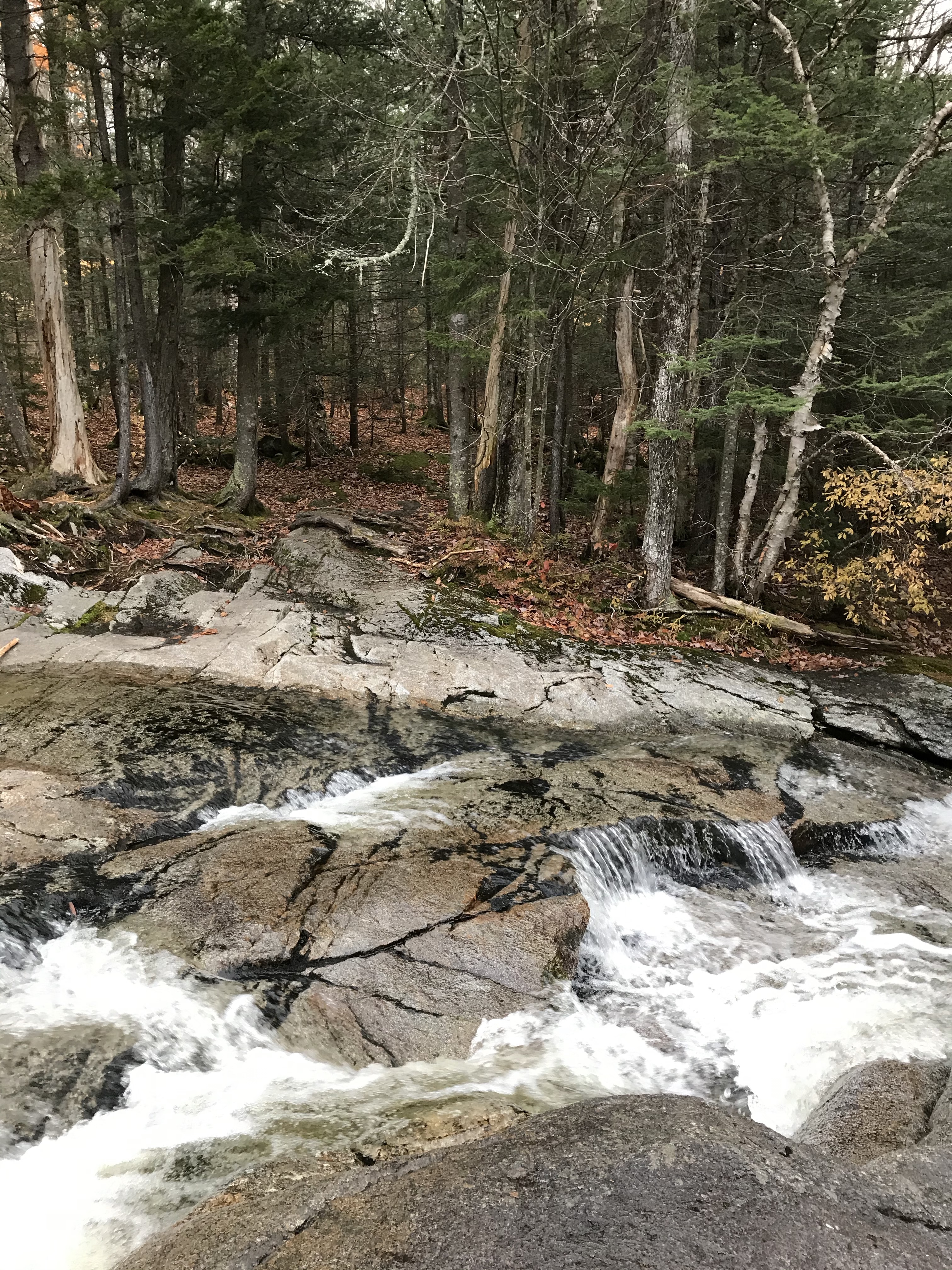 e6q1WjGKSx6eaZZ4N26vqw