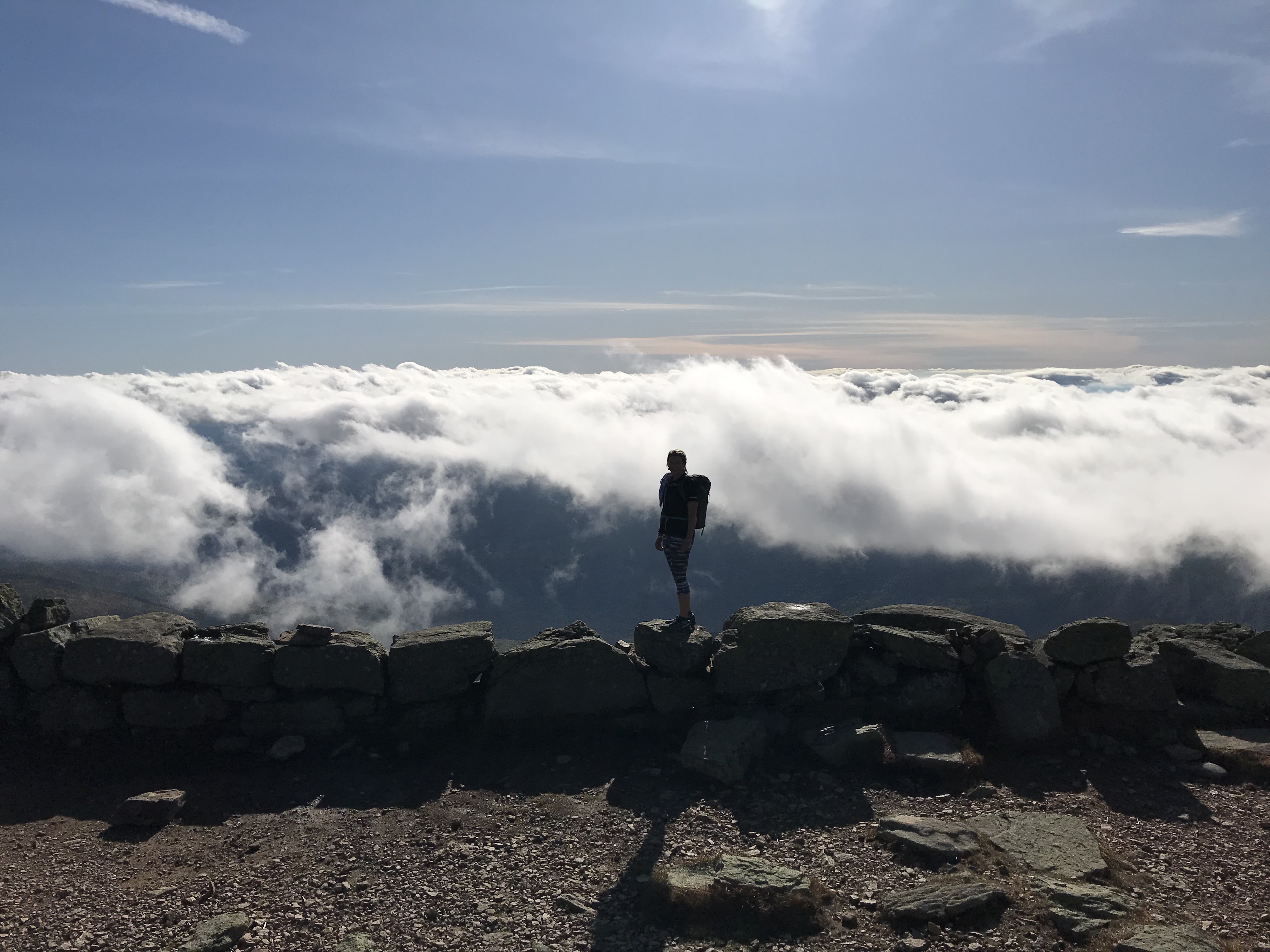 Ea59Sf+YRi6gB5pZECDlqA