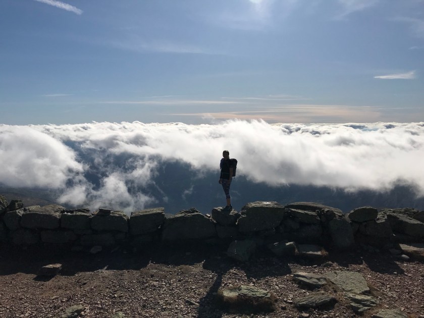 Ea59Sf+YRi6gB5pZECDlqA