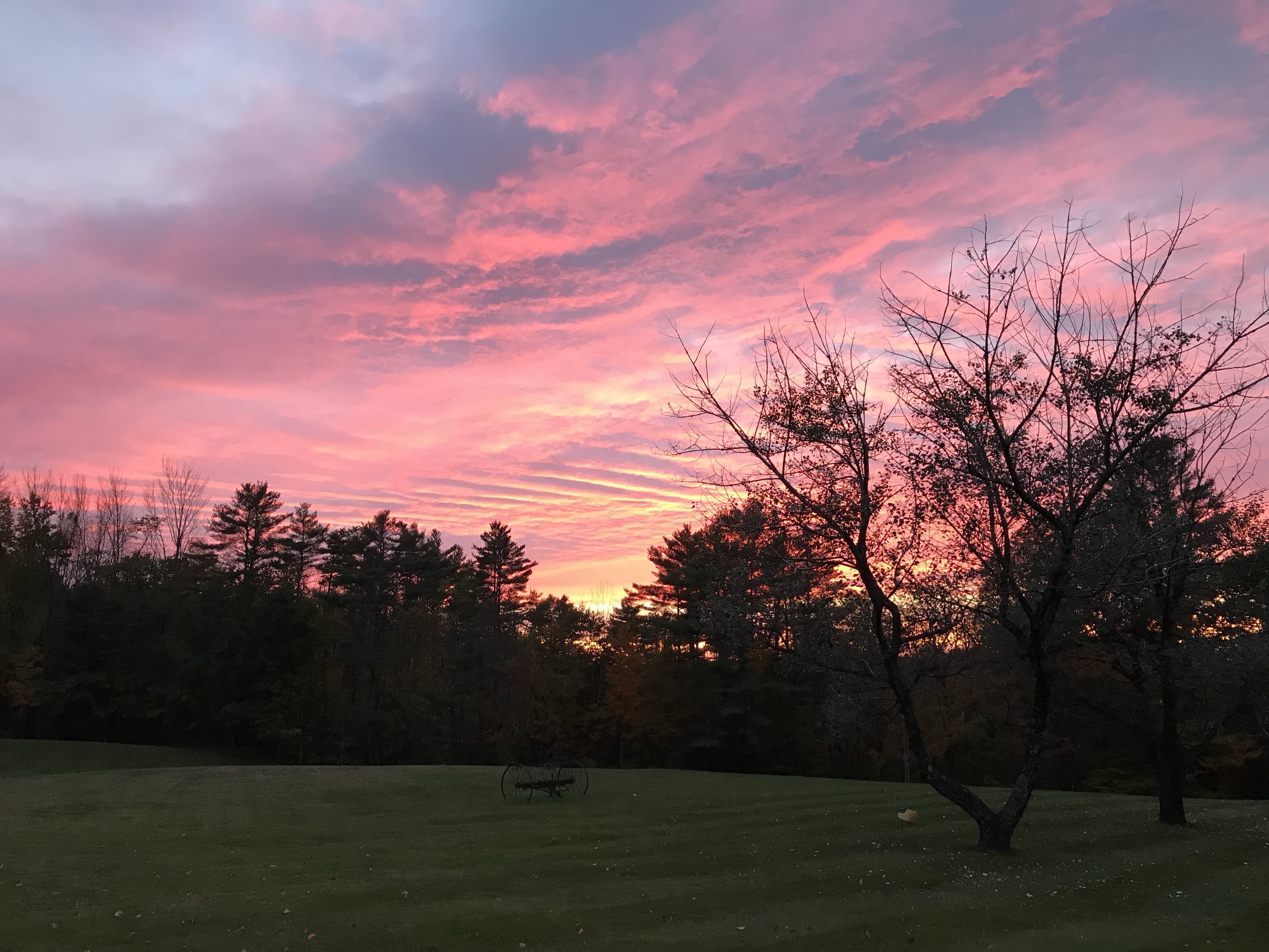 gx4dSXgDSEG+PmsNBiPRRg