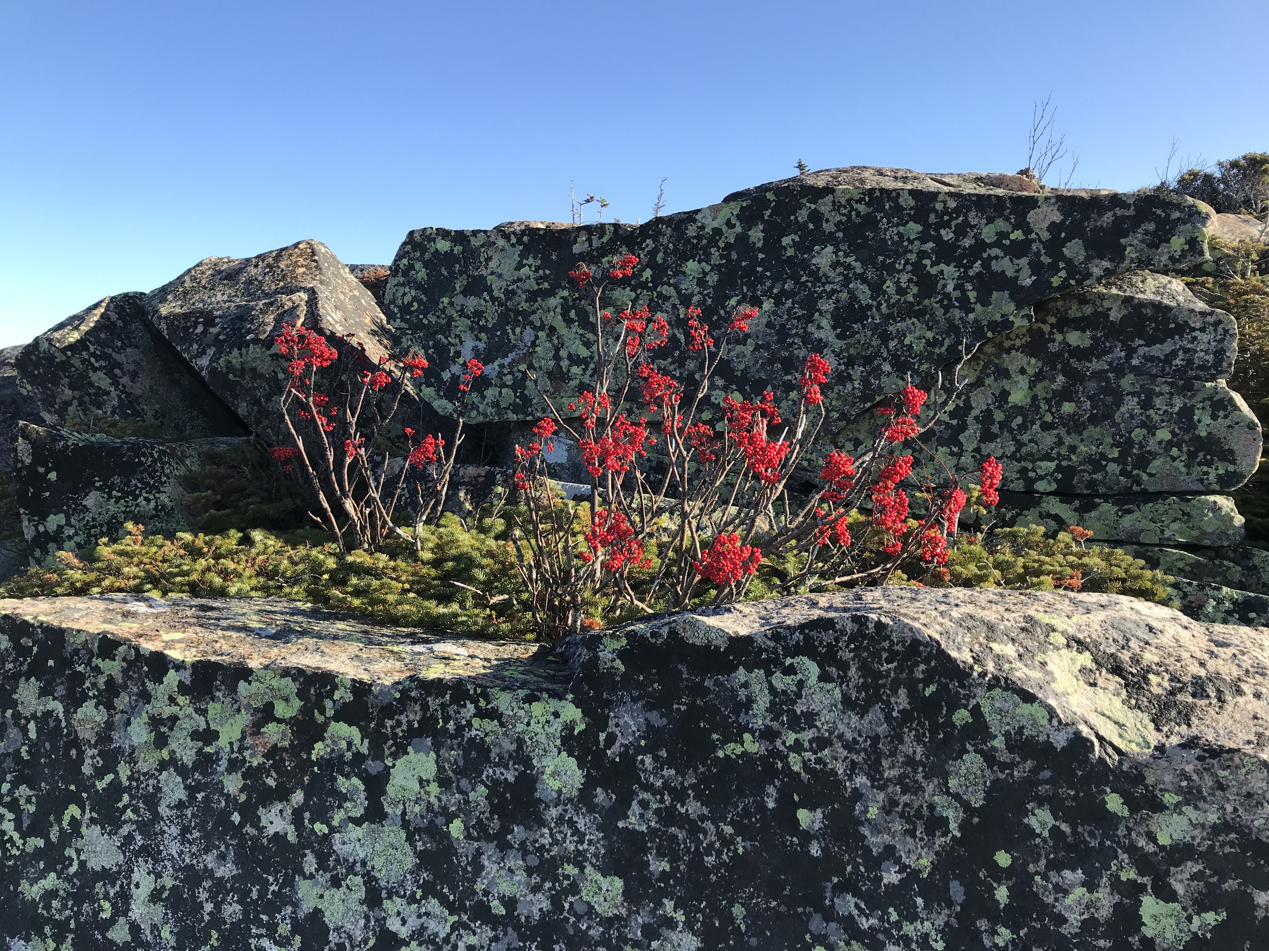 hEJAWL+ZQf2BbUKlC4LpMg