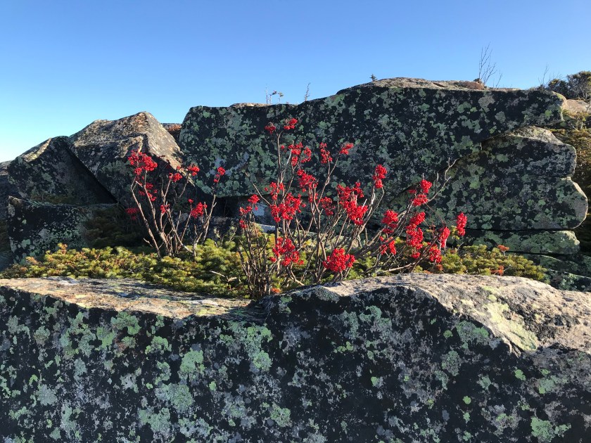 hEJAWL+ZQf2BbUKlC4LpMg