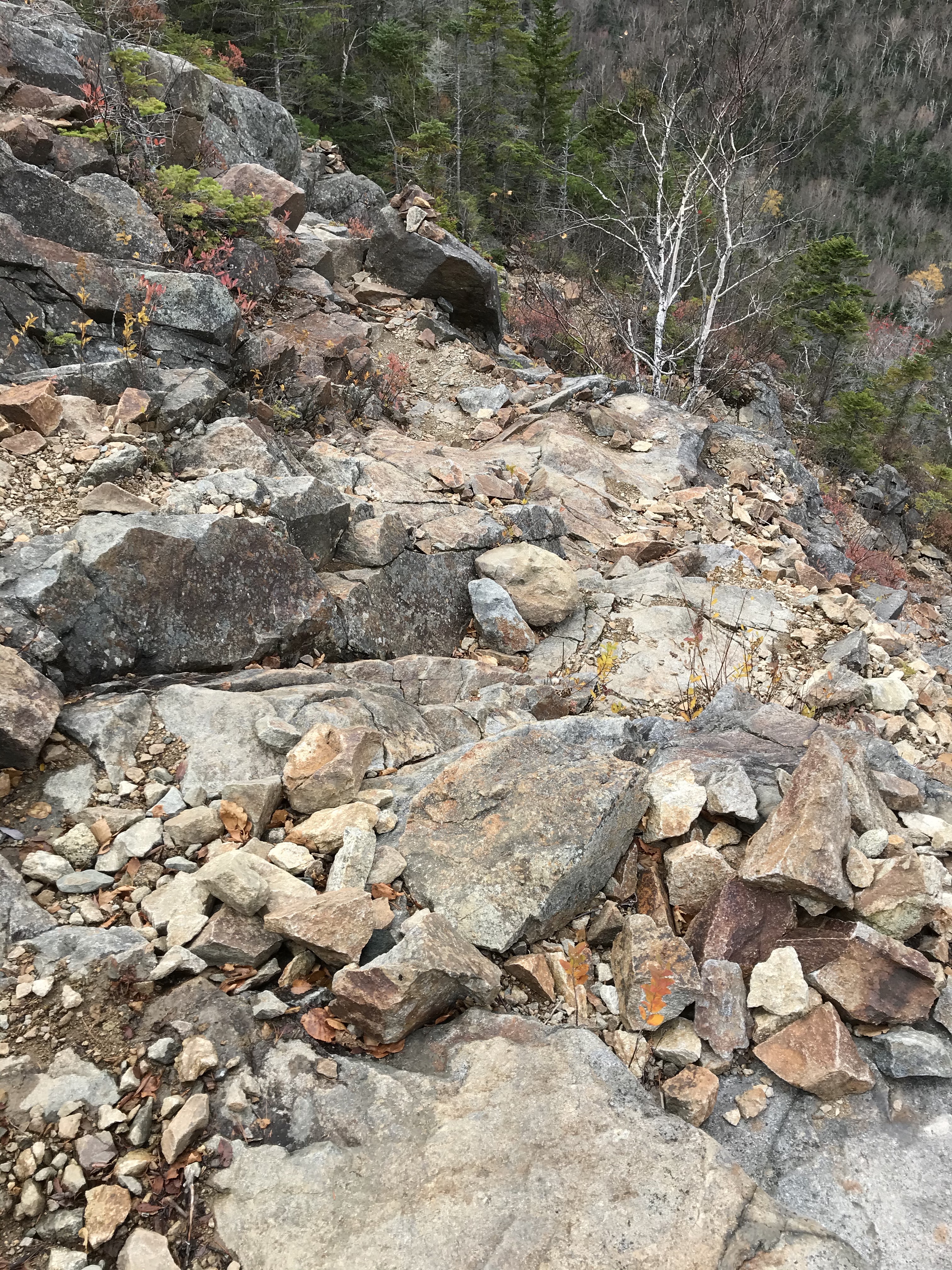 lbg2pYSBRCaYXXMl0sZzVg