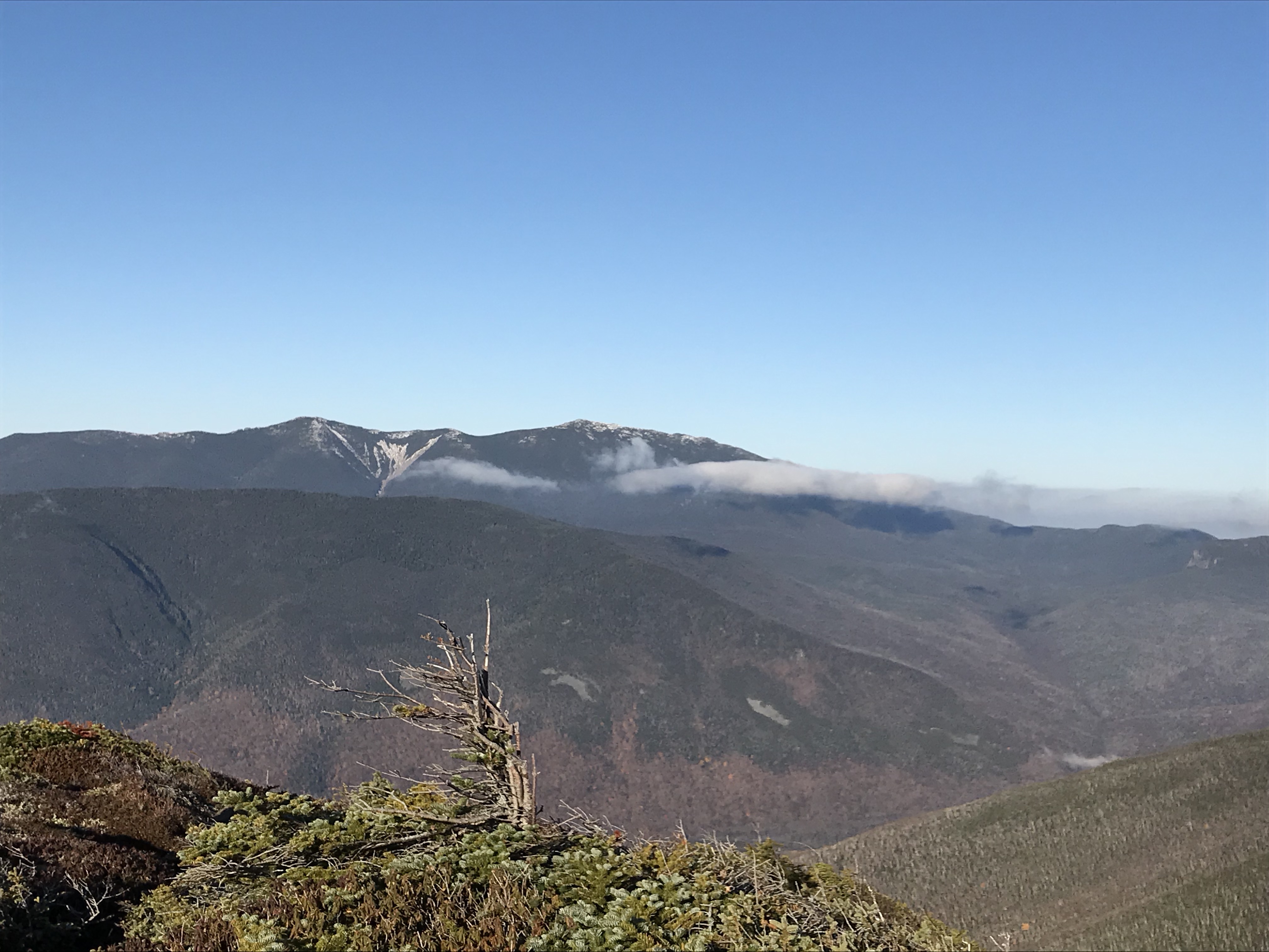 SNqnjAmKRRmKKr4UGzseDw