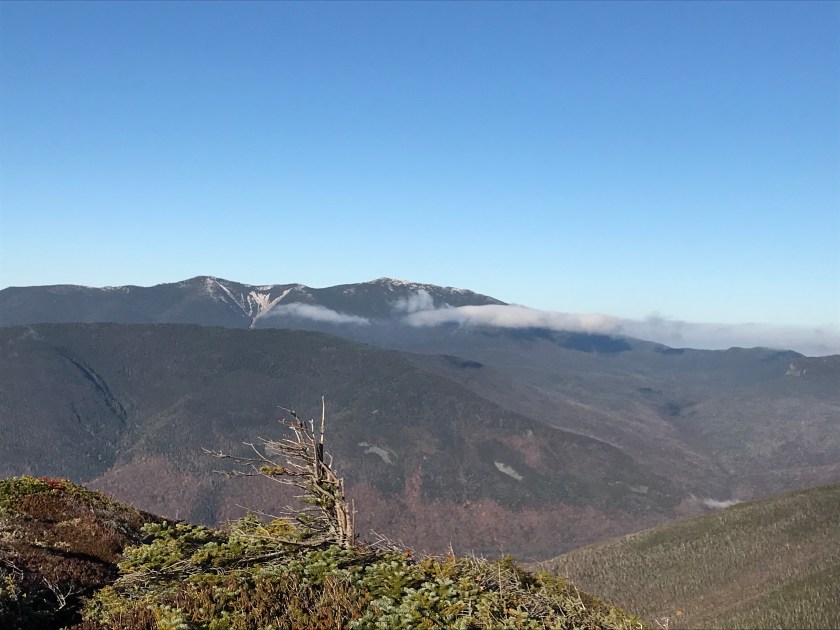 SNqnjAmKRRmKKr4UGzseDw