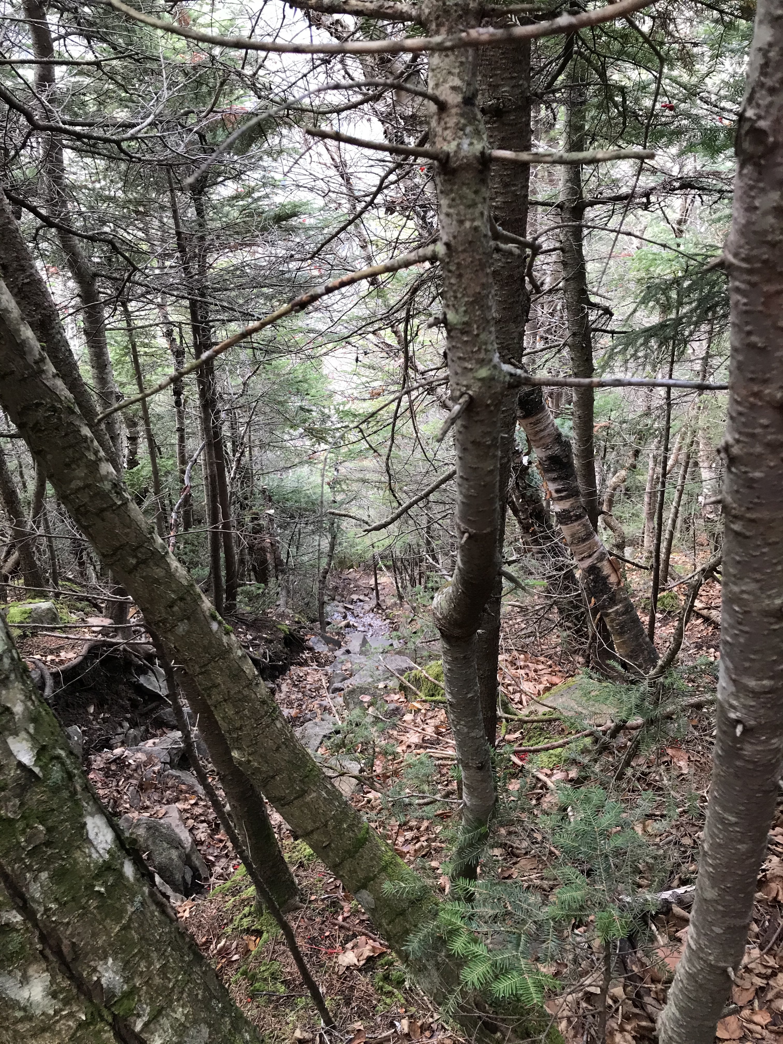 V19T7ysjQW+hVxQyv1vBMw