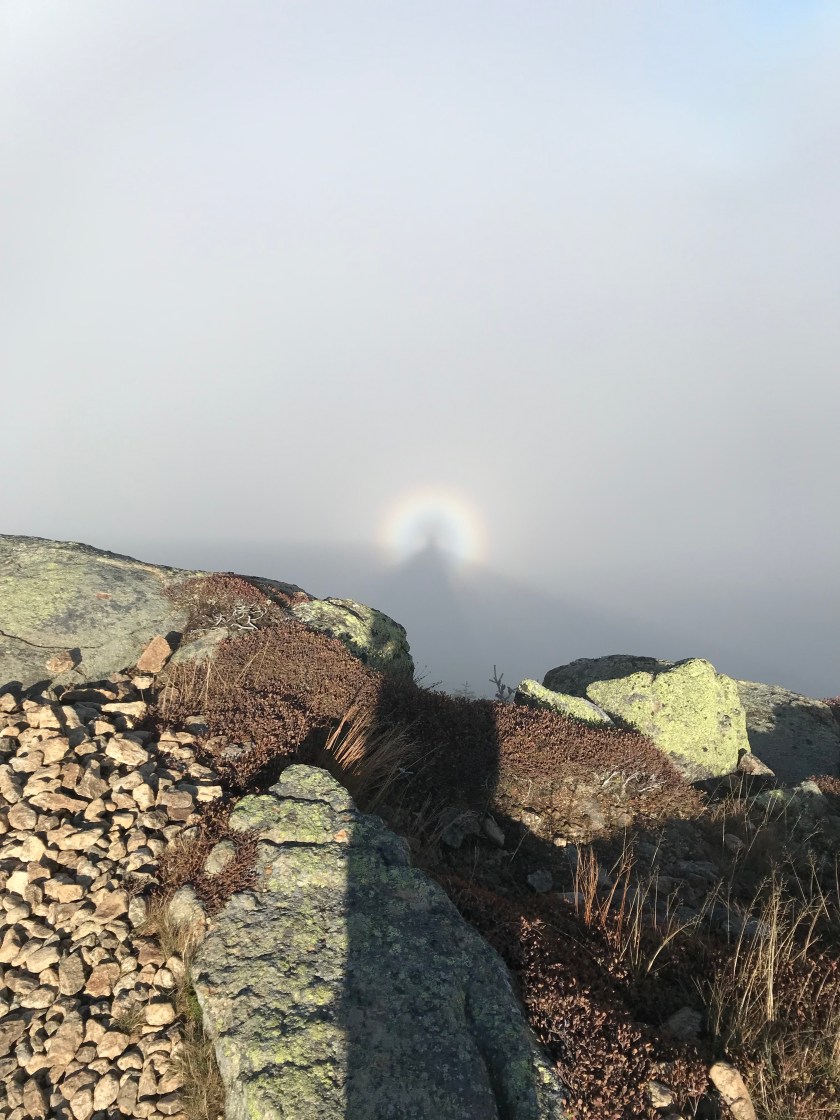 VlpAS2GzQTOM1nrJr1+u1Q