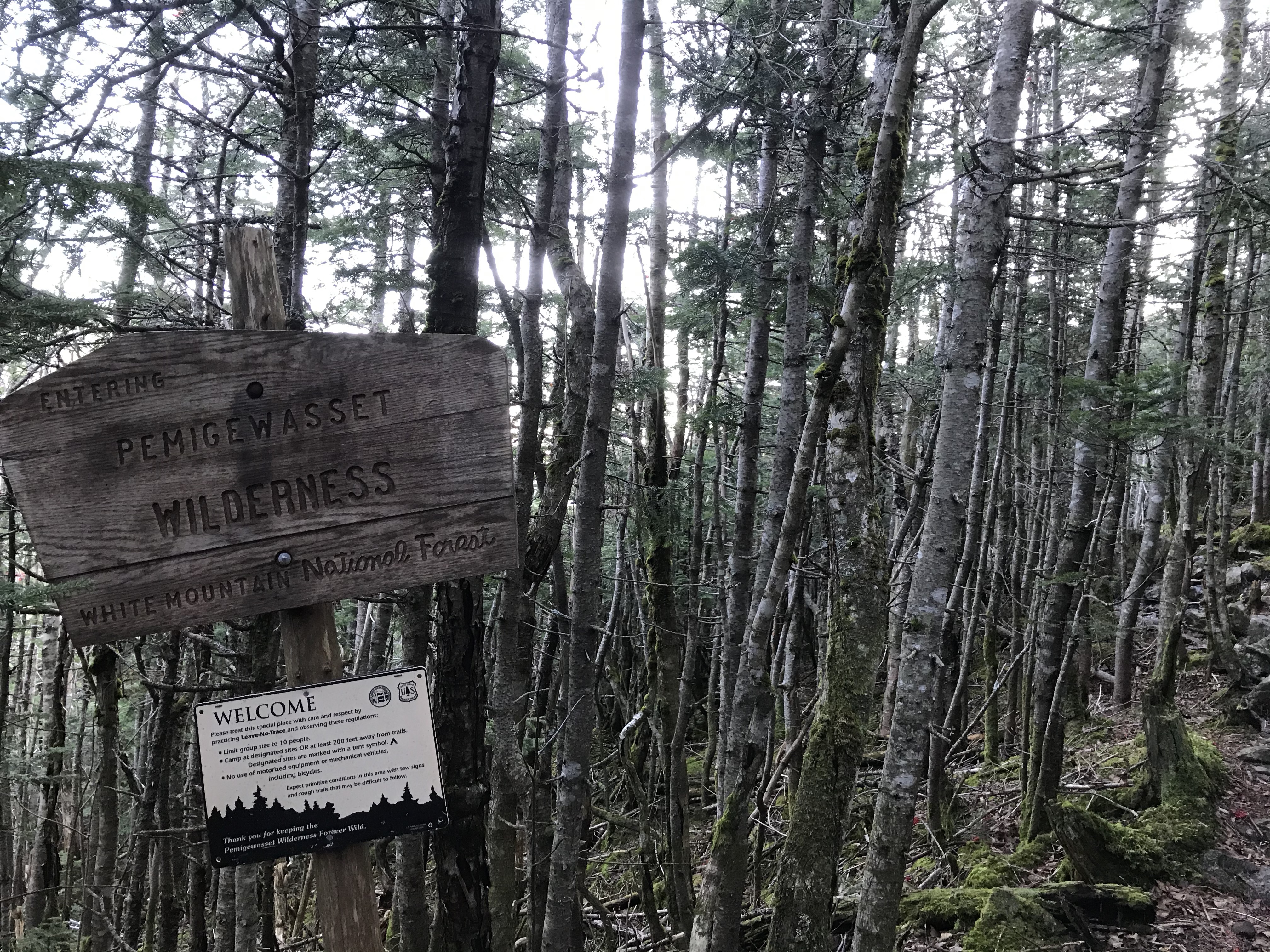 VO7rdq7kRWWOTXX7IwhhBA