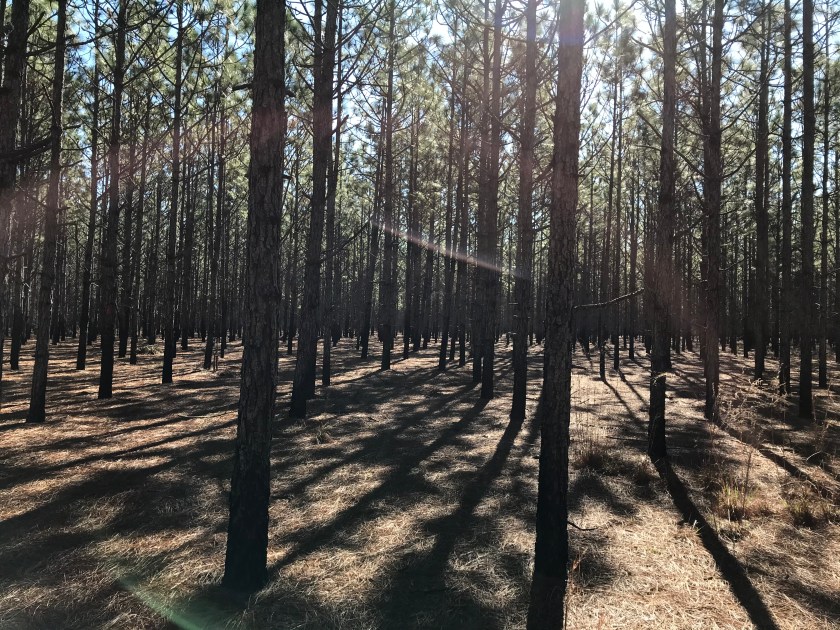 07102280-D21E-4051-8FD0-A8B03AC14249