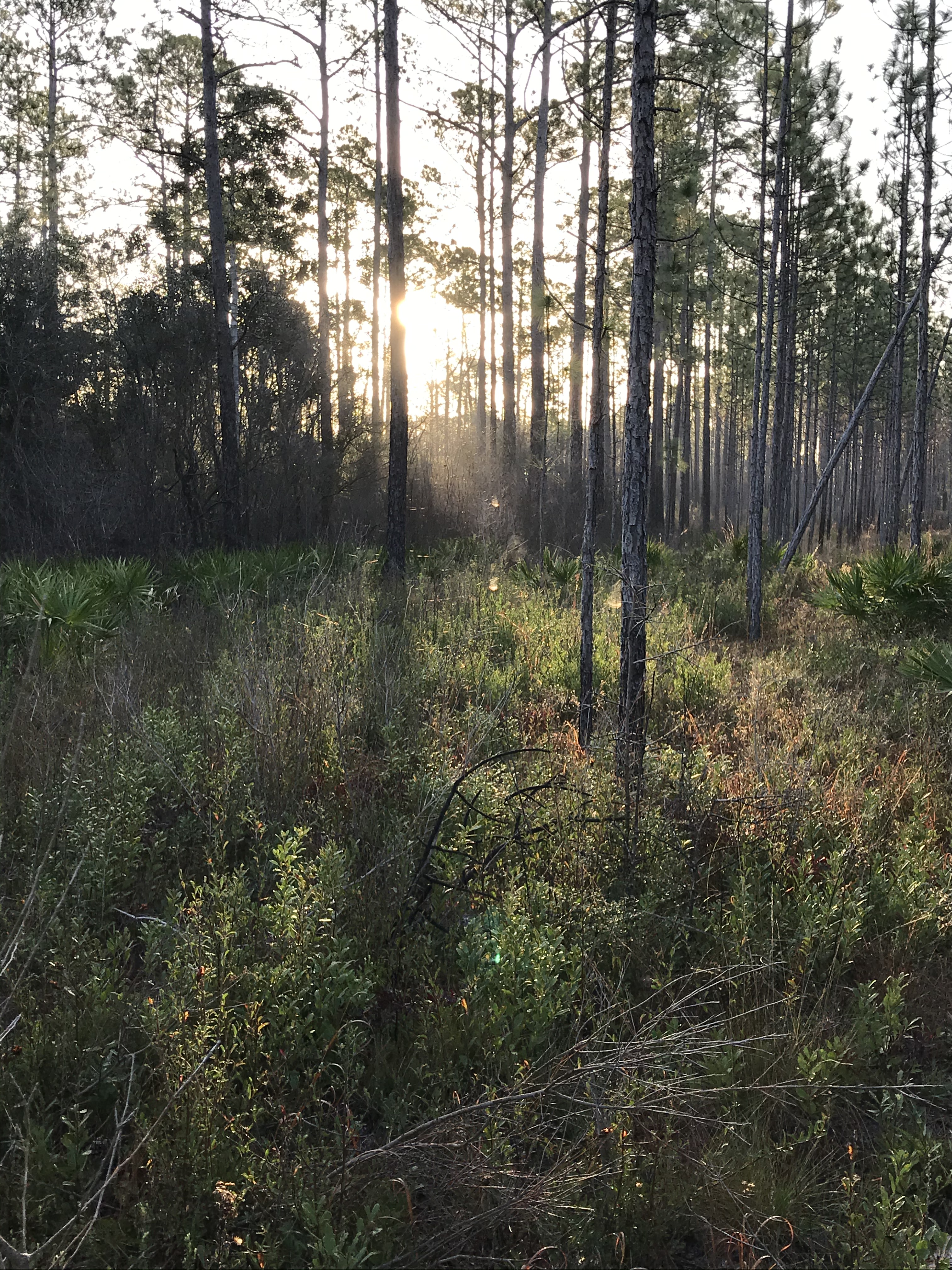 077E6453-4AD8-4129-8C49-61CF3E626F0A