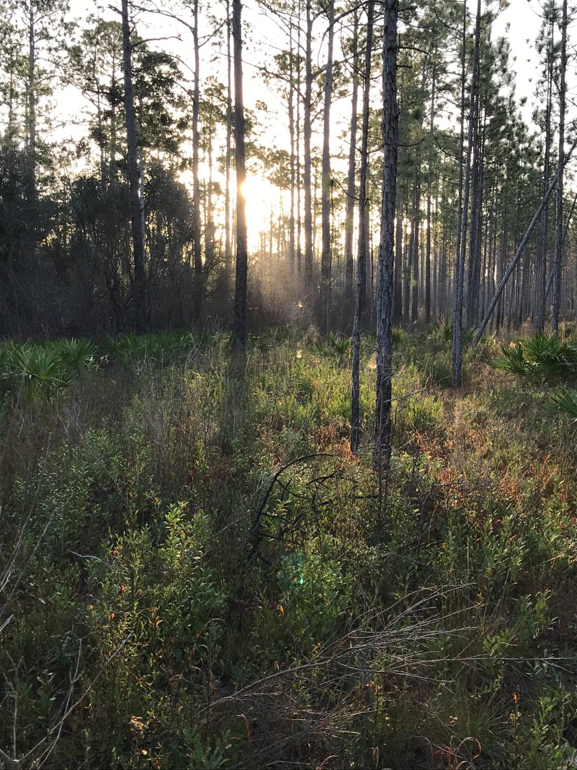 077E6453-4AD8-4129-8C49-61CF3E626F0A