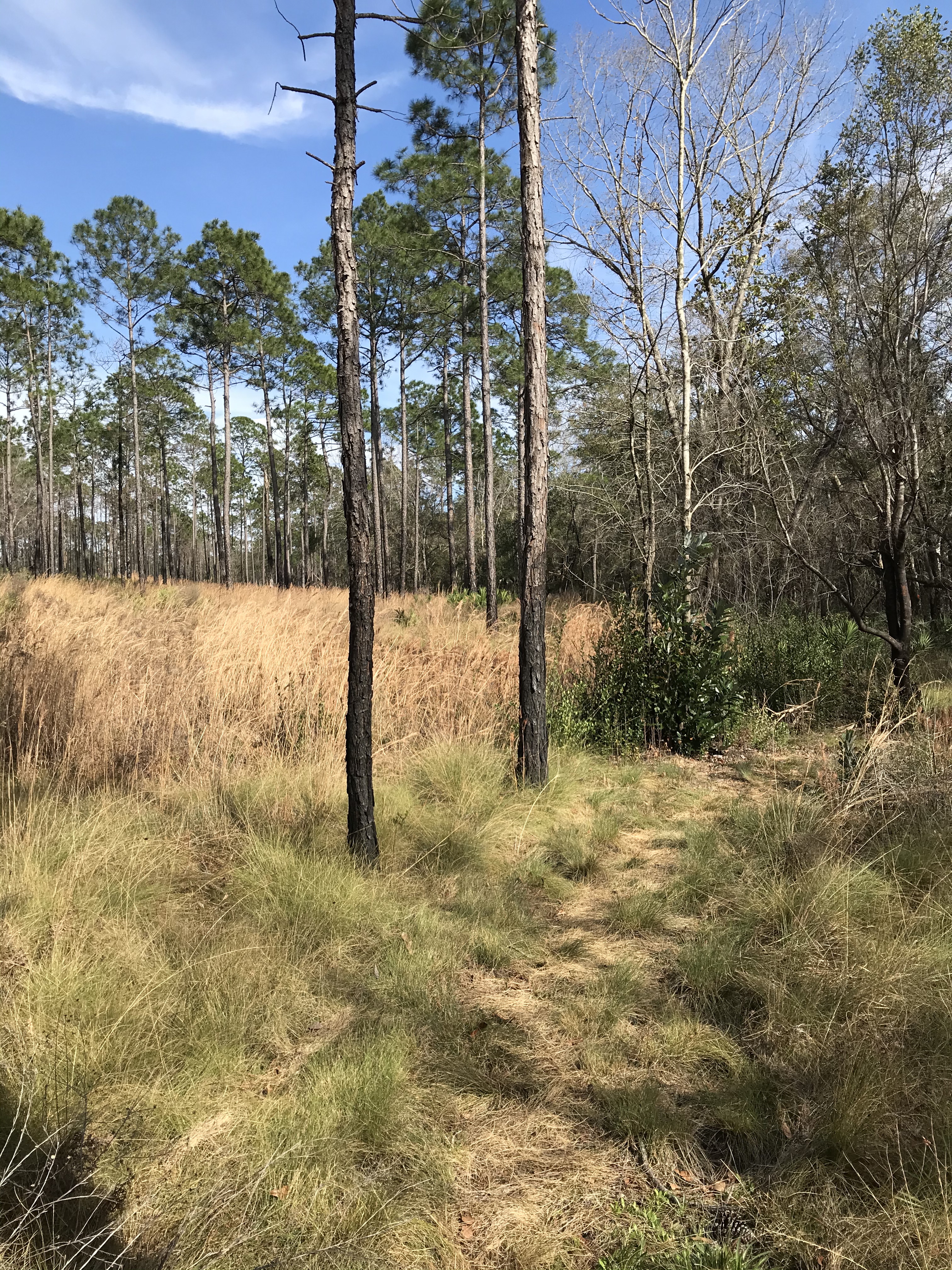 0AC93512-8BBA-479D-A35E-CFD3FC711334