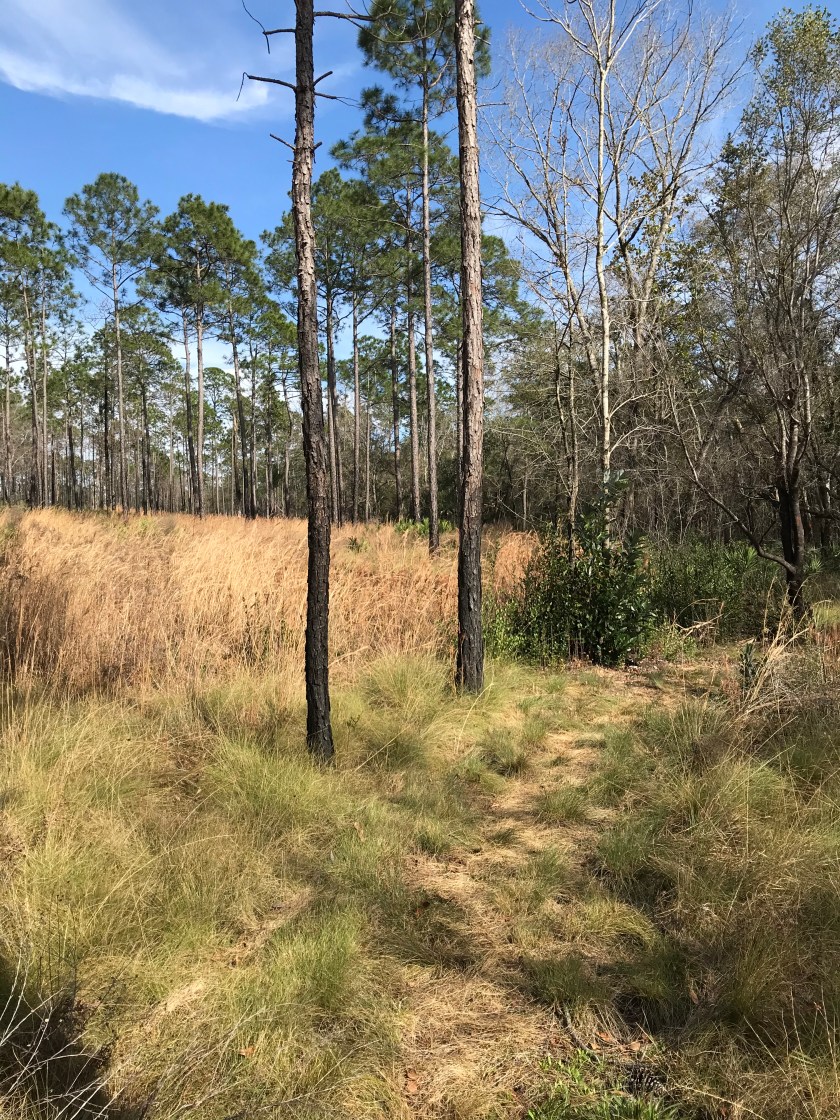 0AC93512-8BBA-479D-A35E-CFD3FC711334