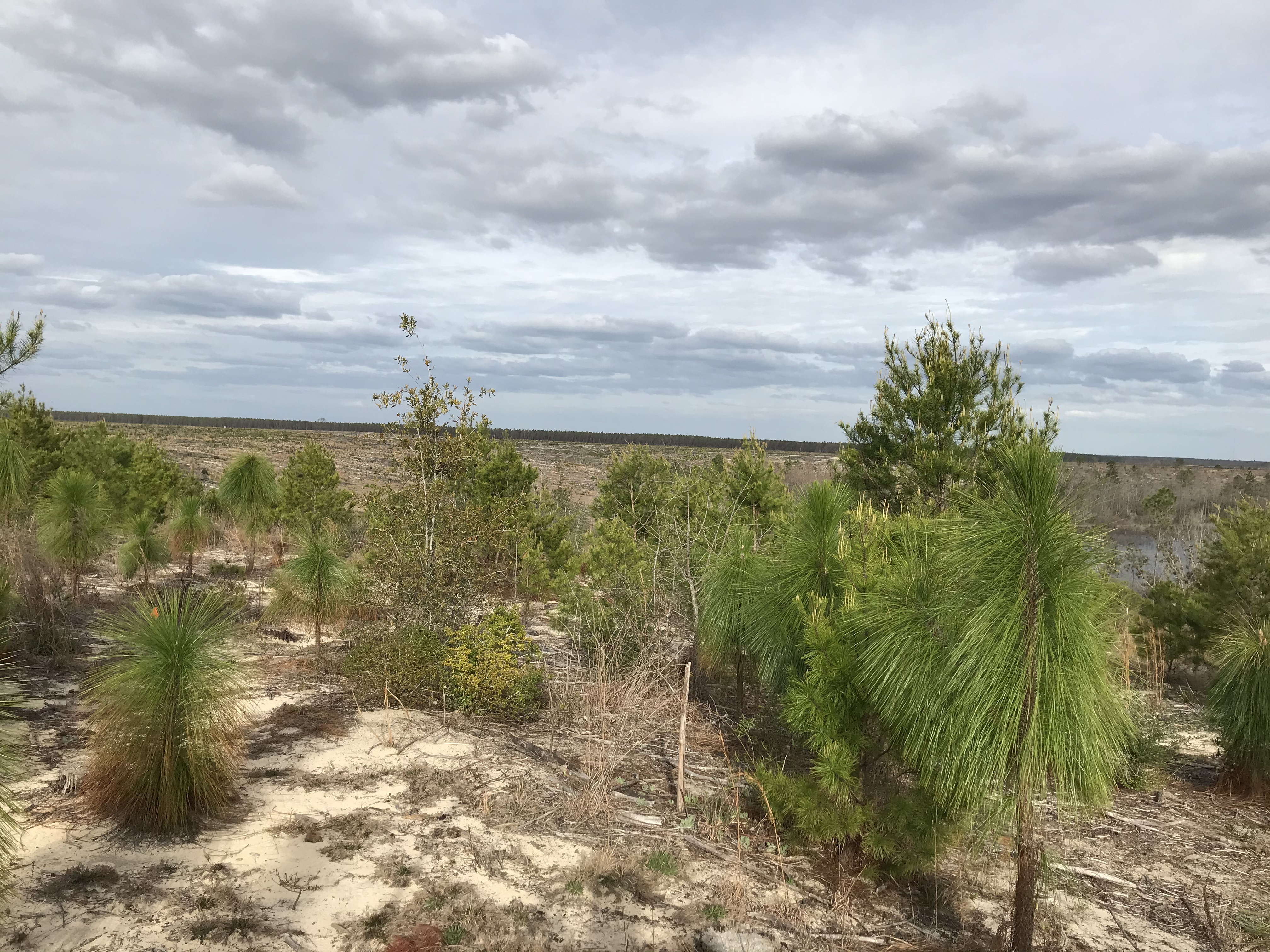 0ACB6F0E-09D0-48DD-88FF-4CA0335EE357