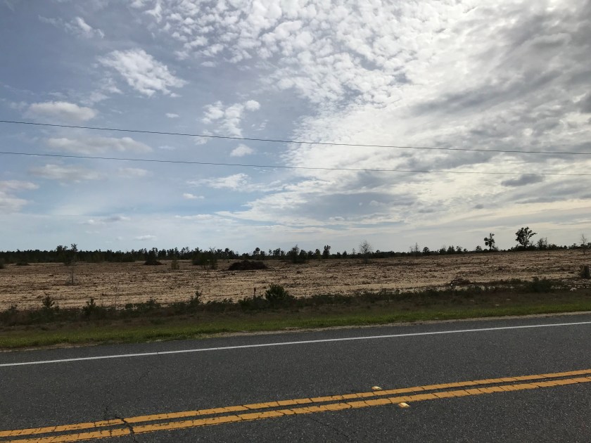 0B8D00F2-579A-4303-A6DC-3EA4B3335C7C