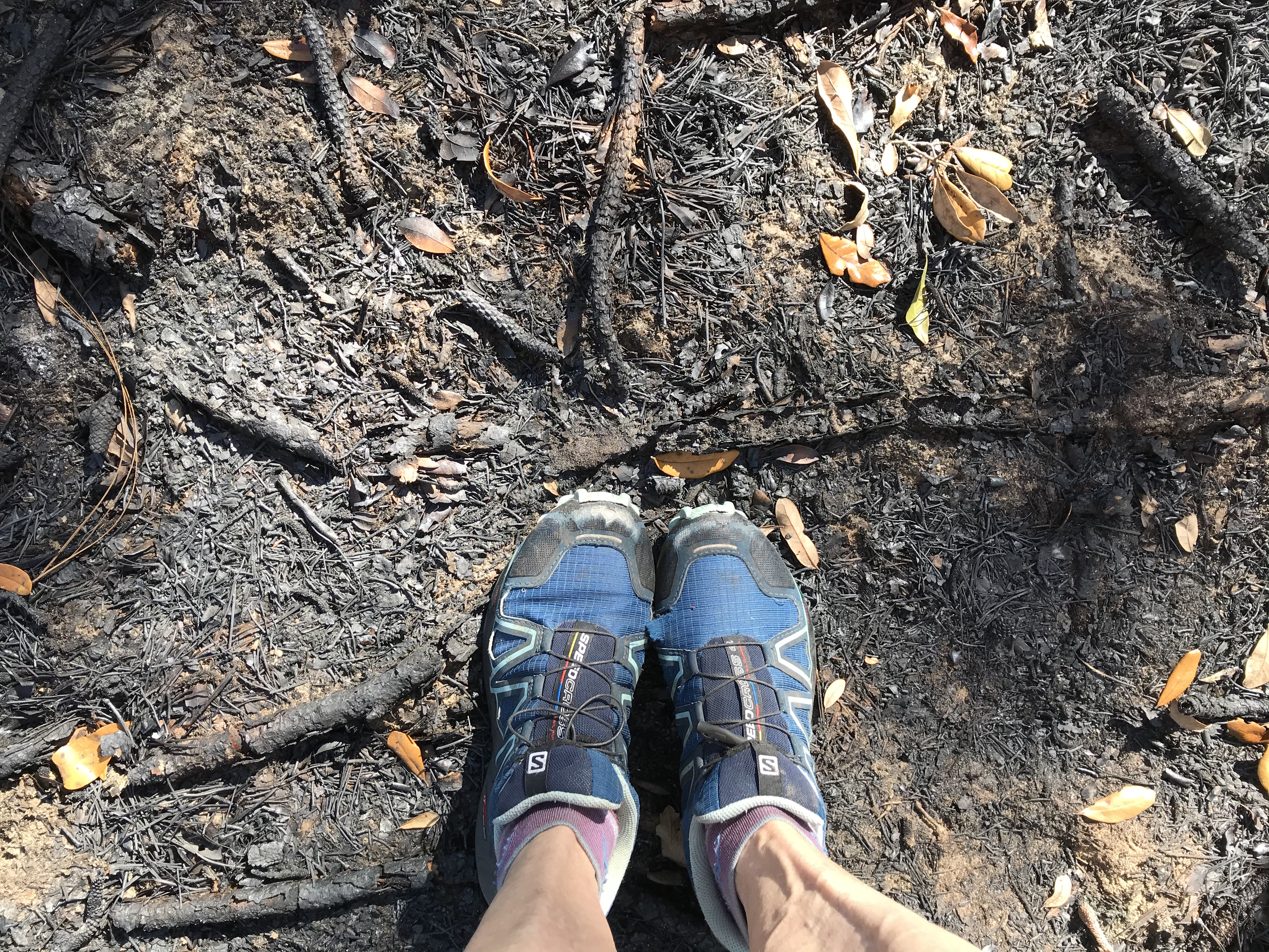 11AE16CB-5B81-4CCC-A70E-DE807768CF65