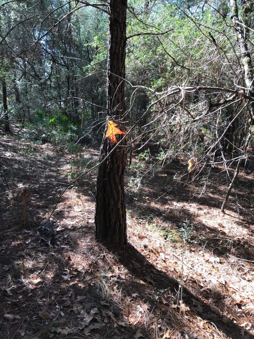 2193B177-0133-49F7-AFFD-0E0A1A01B2EB