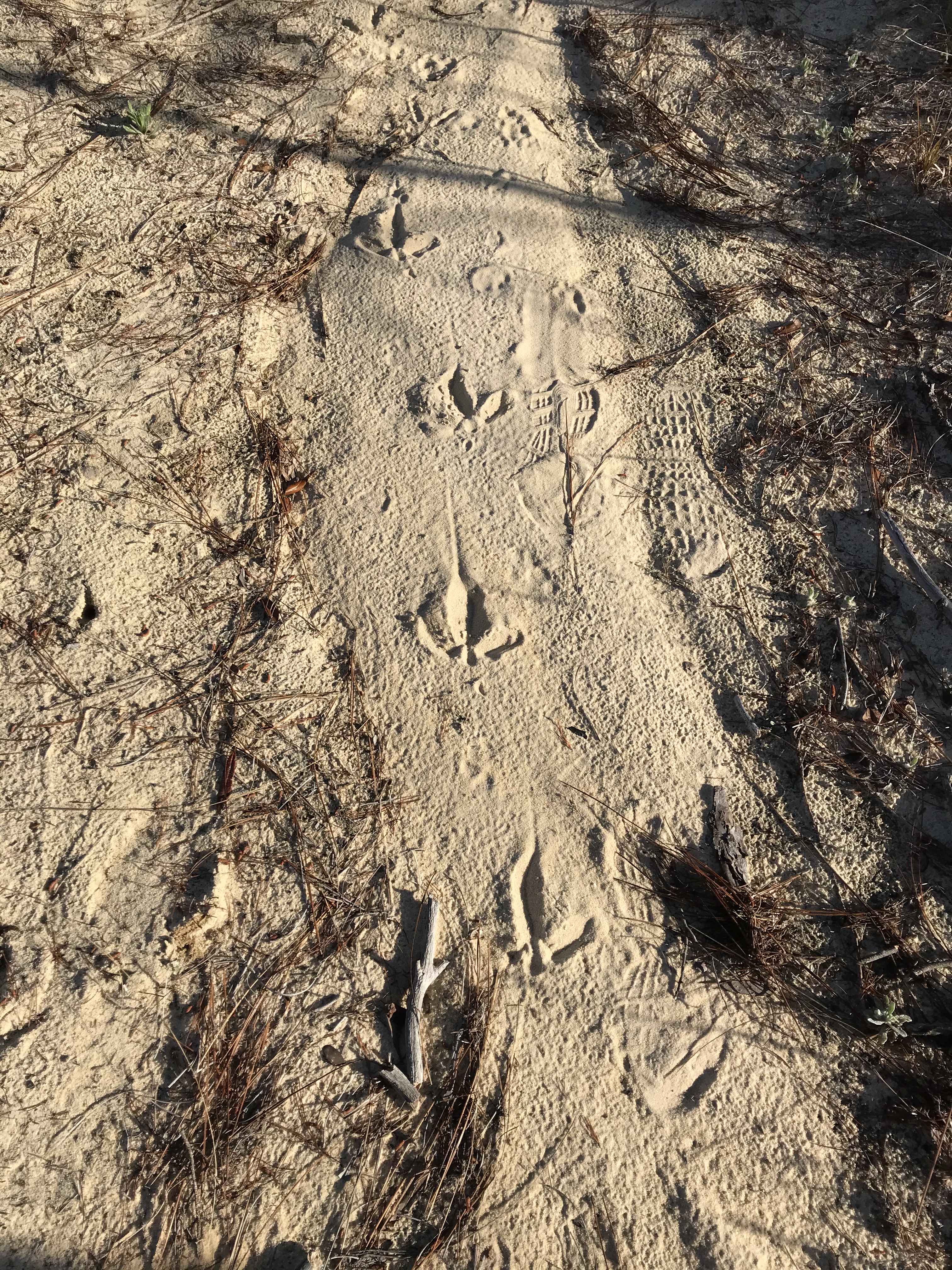 2DB14723-A399-4084-8EAF-AE9C05A03E94