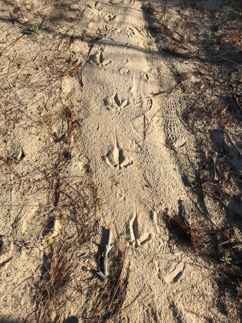 2DB14723-A399-4084-8EAF-AE9C05A03E94