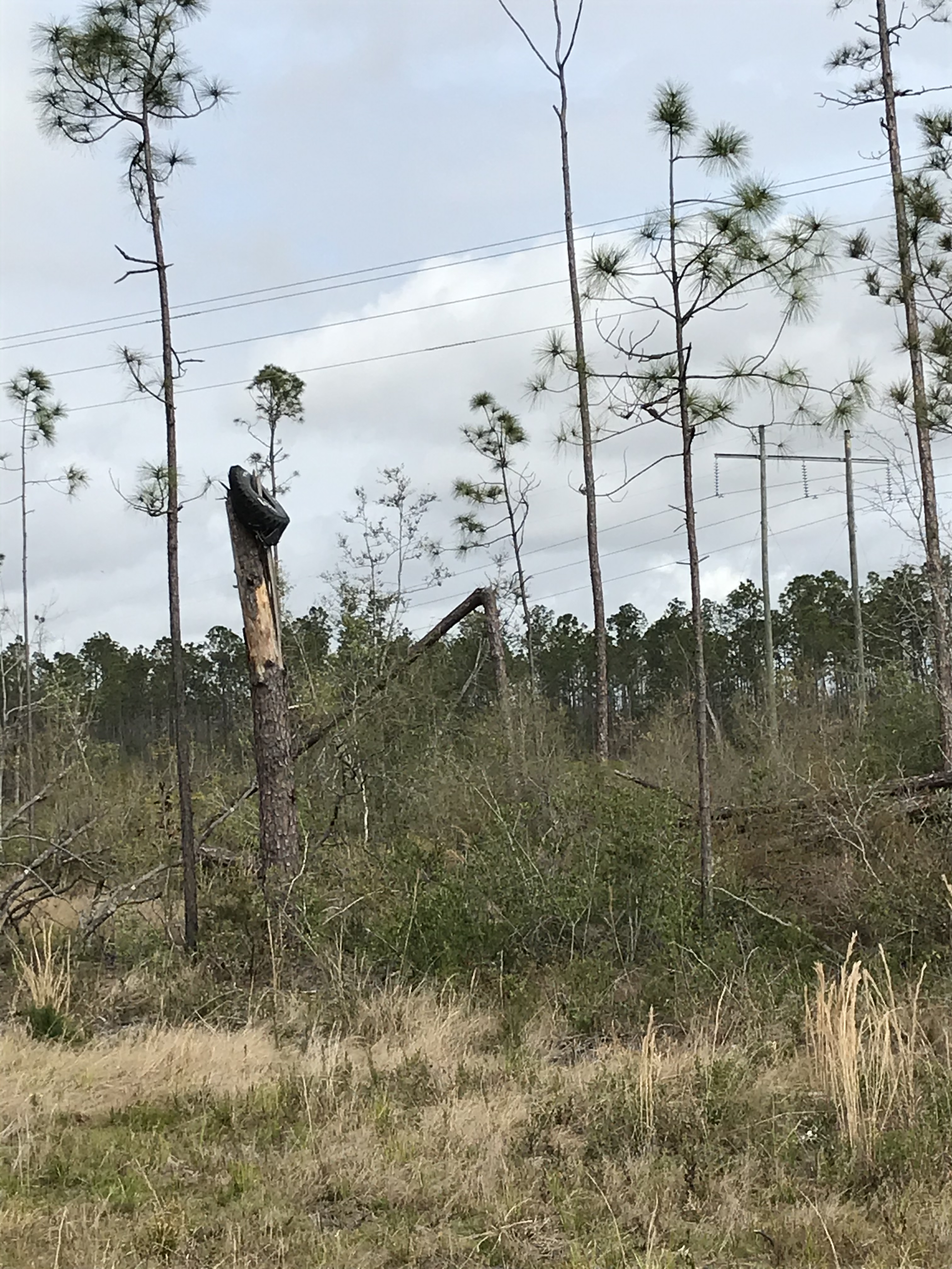 330C57D0-1CAE-4858-A381-6CCDEFEB5B40