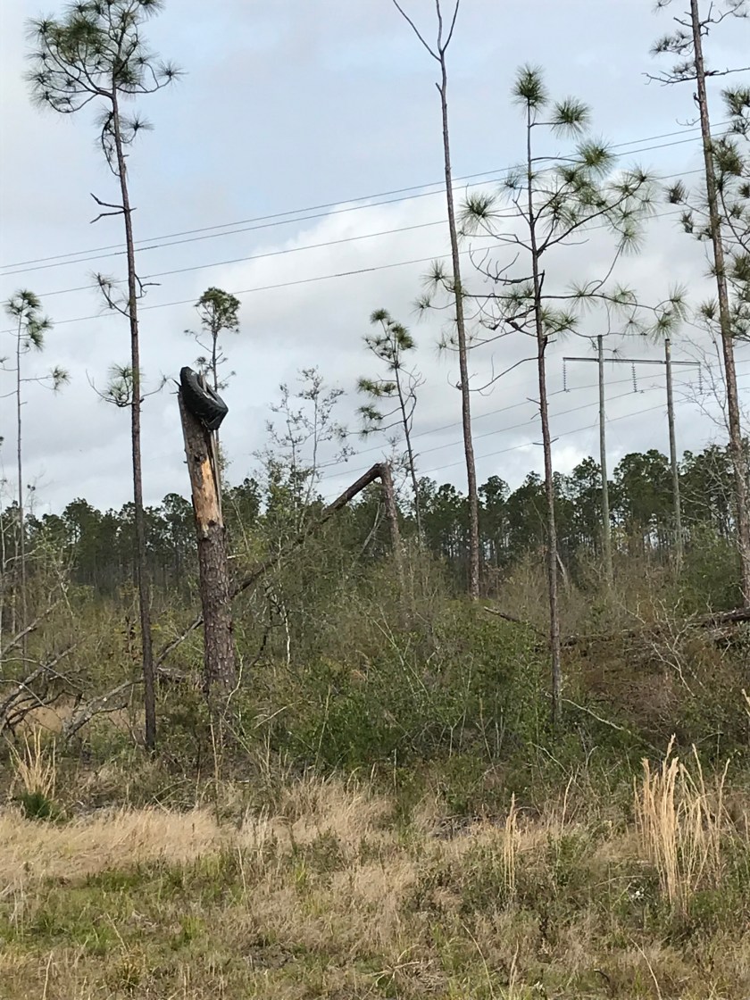 330C57D0-1CAE-4858-A381-6CCDEFEB5B40