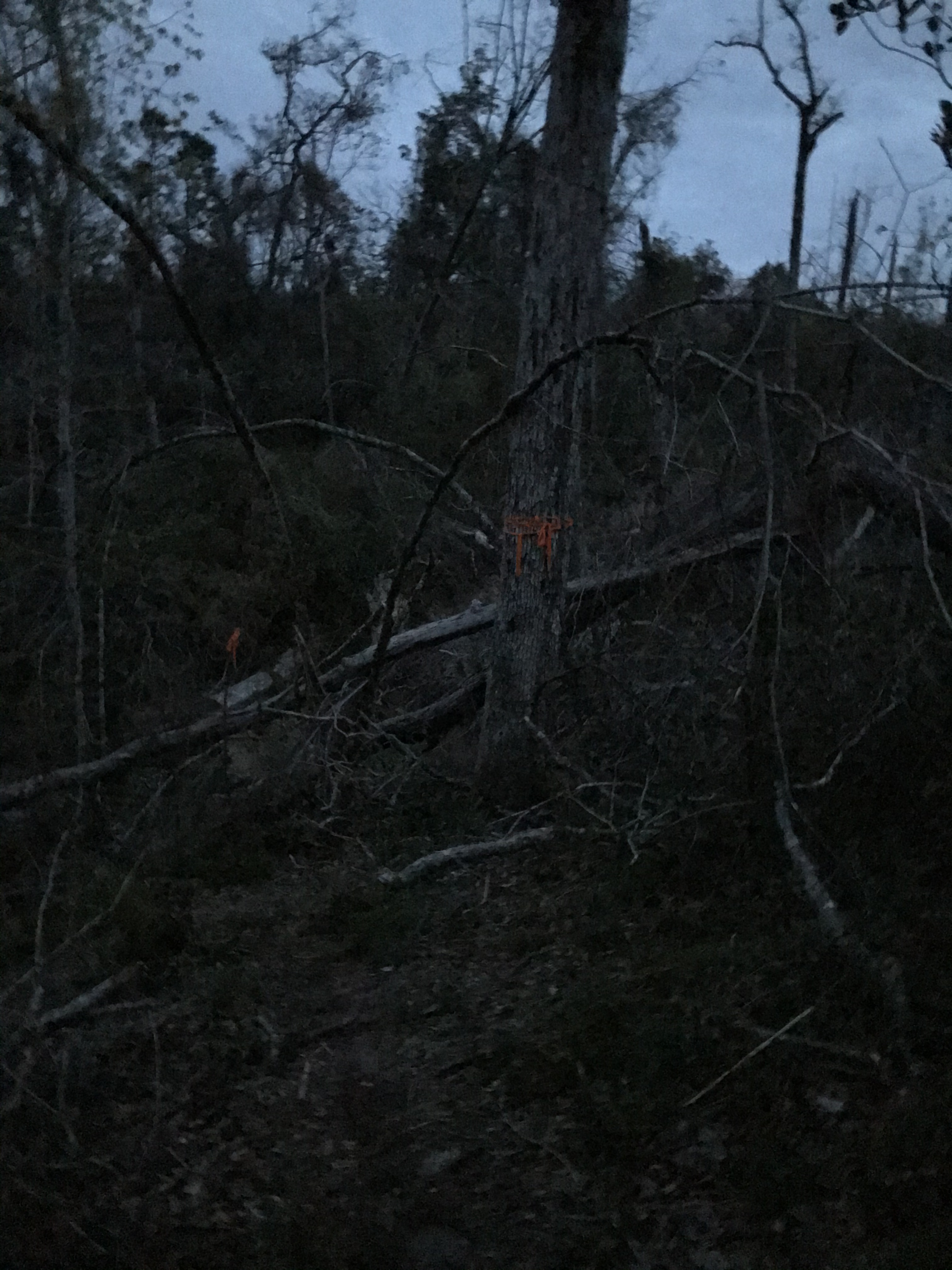 34566114-C477-4B23-B87A-A5346E1588F9