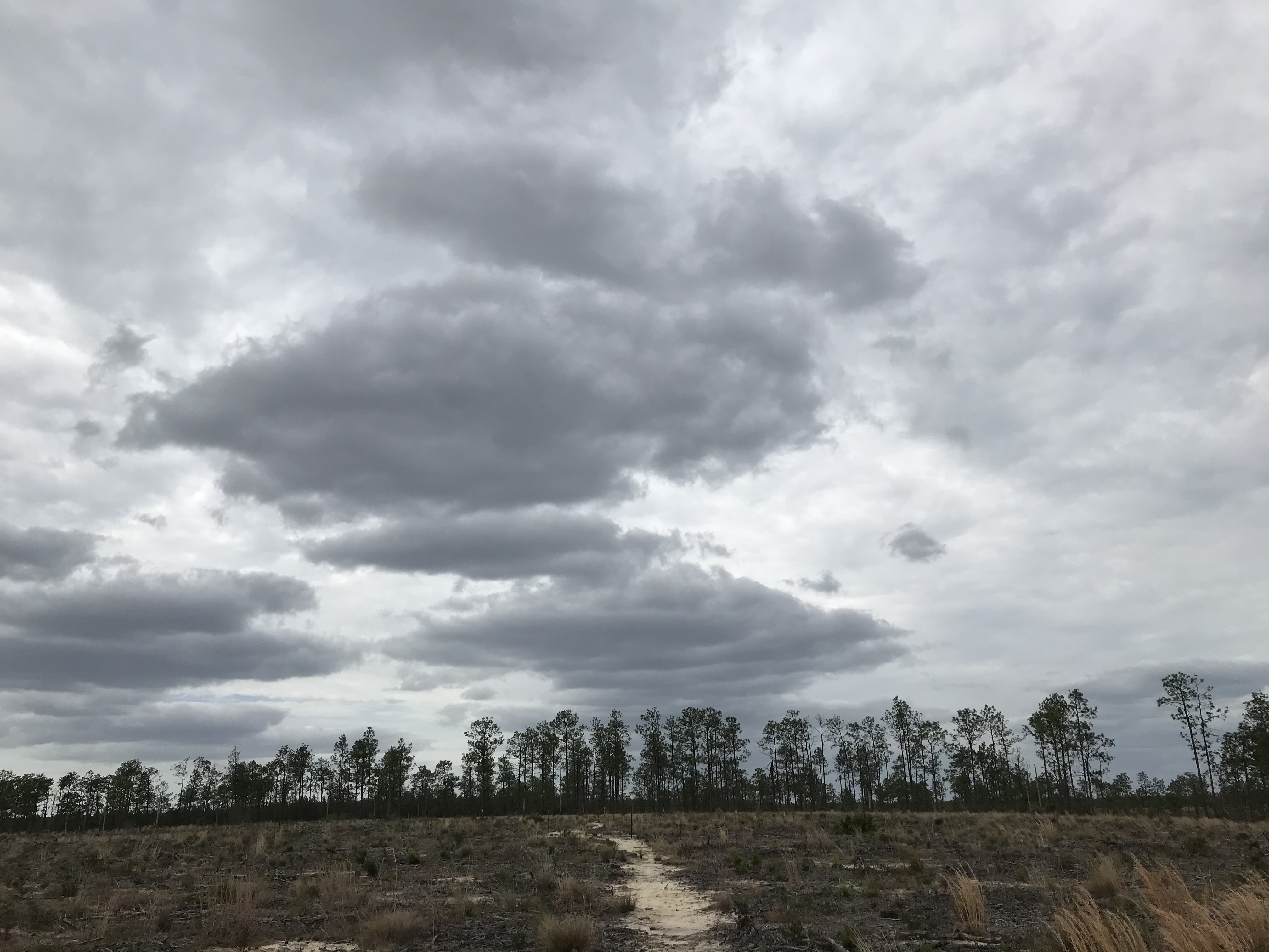 421276BB-45BE-4B25-9081-E0576DC30A9F