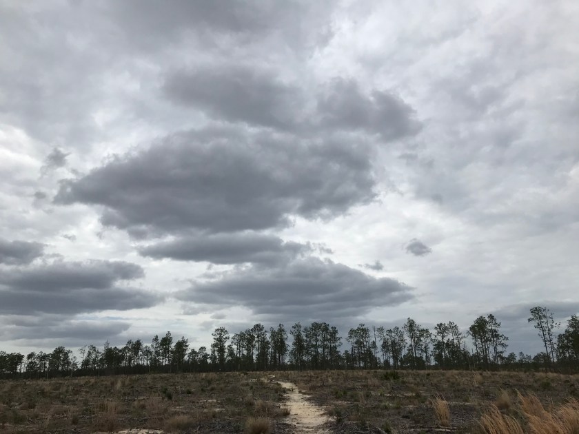 421276BB-45BE-4B25-9081-E0576DC30A9F