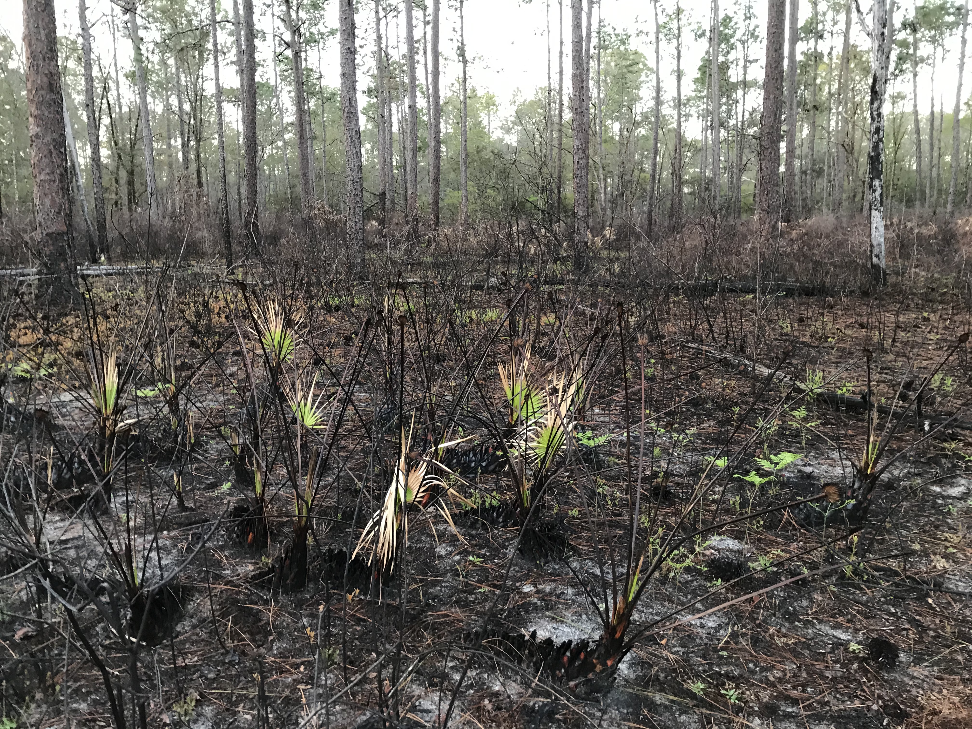 56864FDD-0A3E-4500-9D8A-65937D7A3D9A