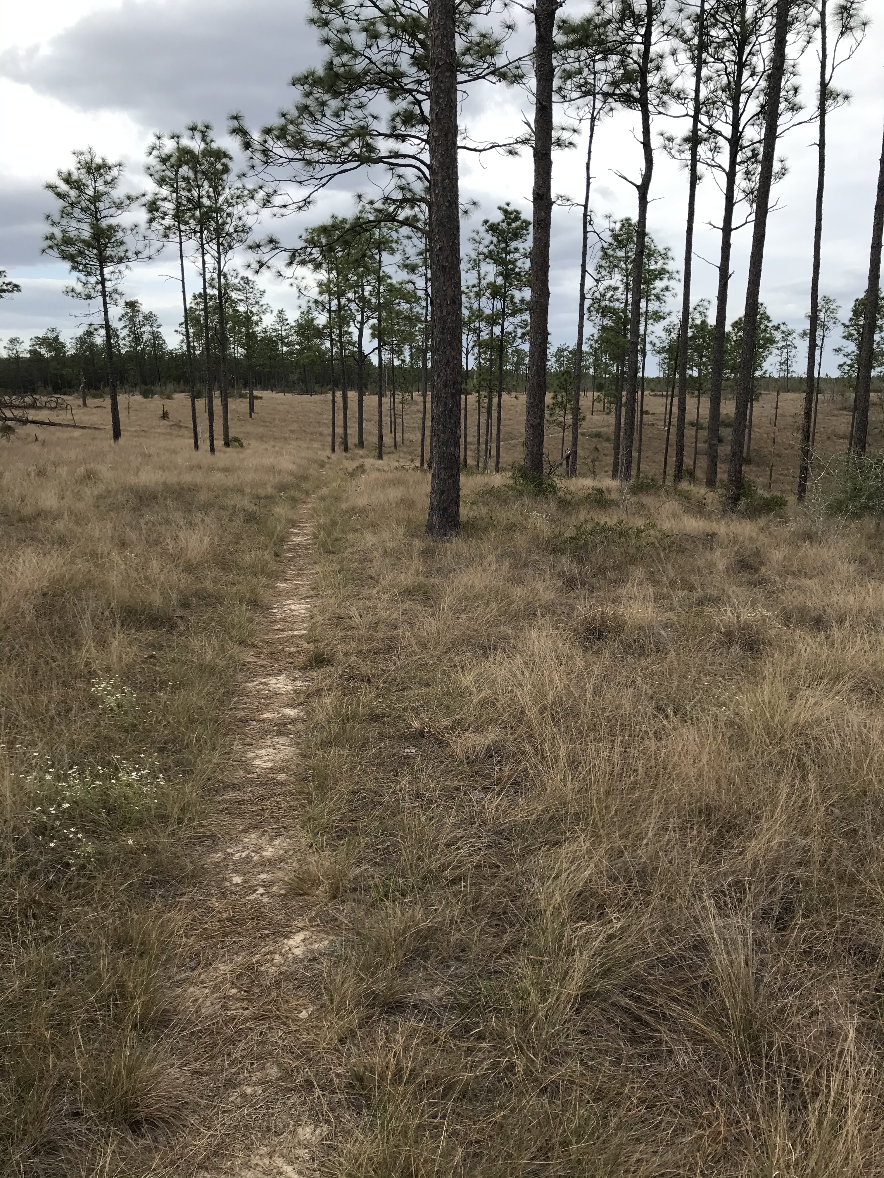 5794B52D-B3BB-43FD-B3E4-393FE194FA52