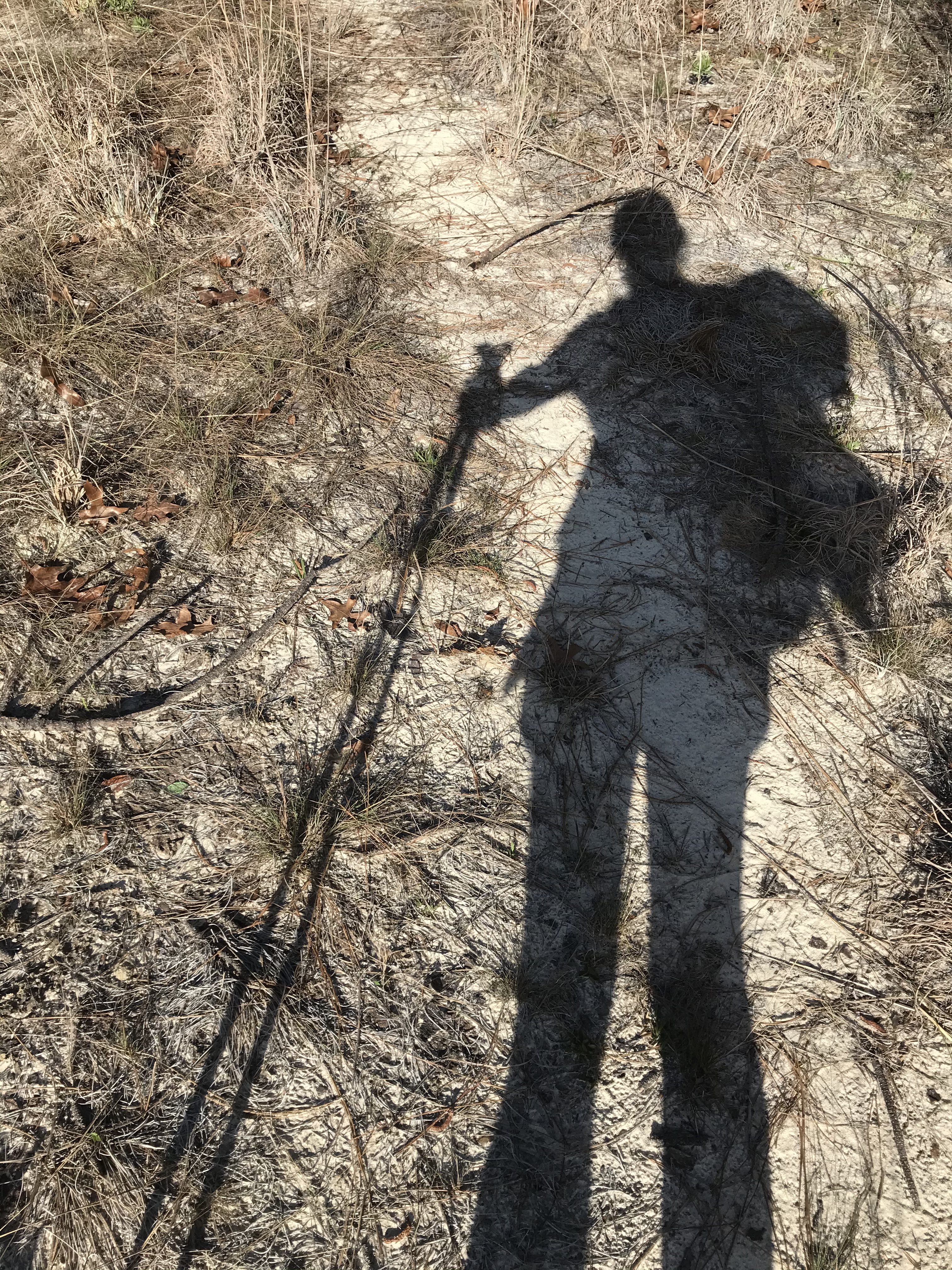 720EC6CF-ABD8-45F8-8DD8-DB265D90691D