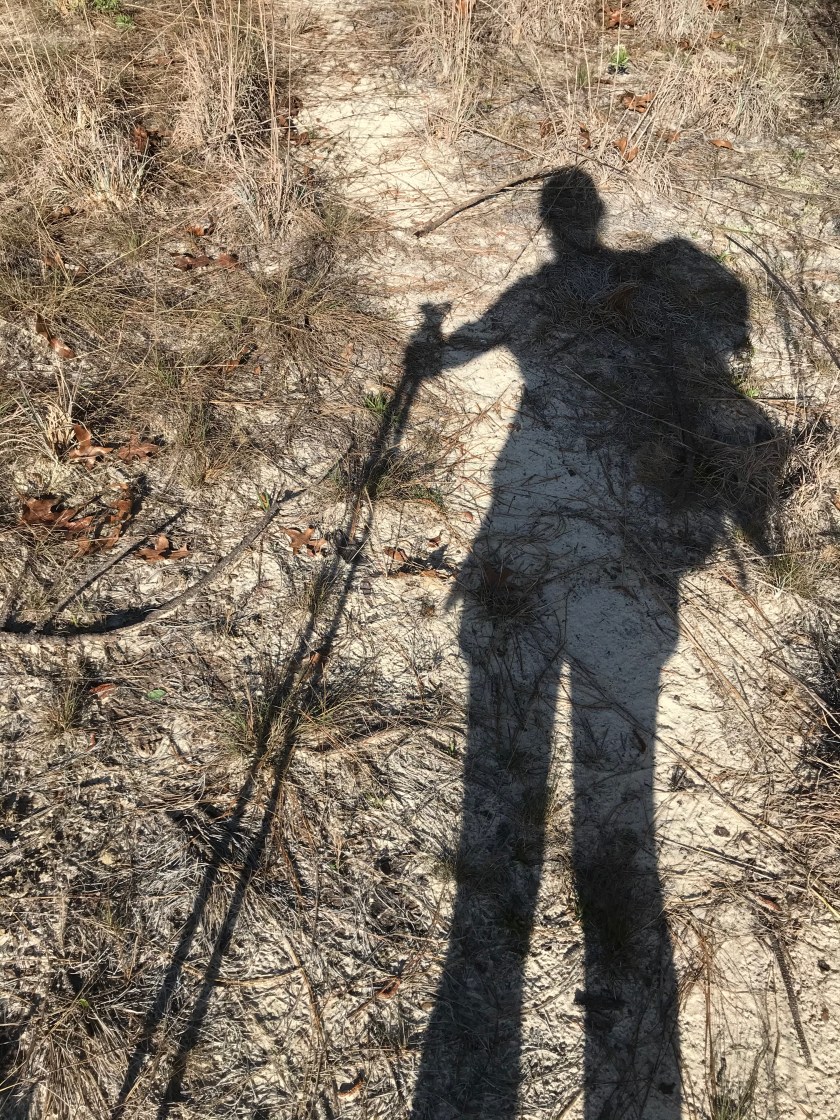 720EC6CF-ABD8-45F8-8DD8-DB265D90691D