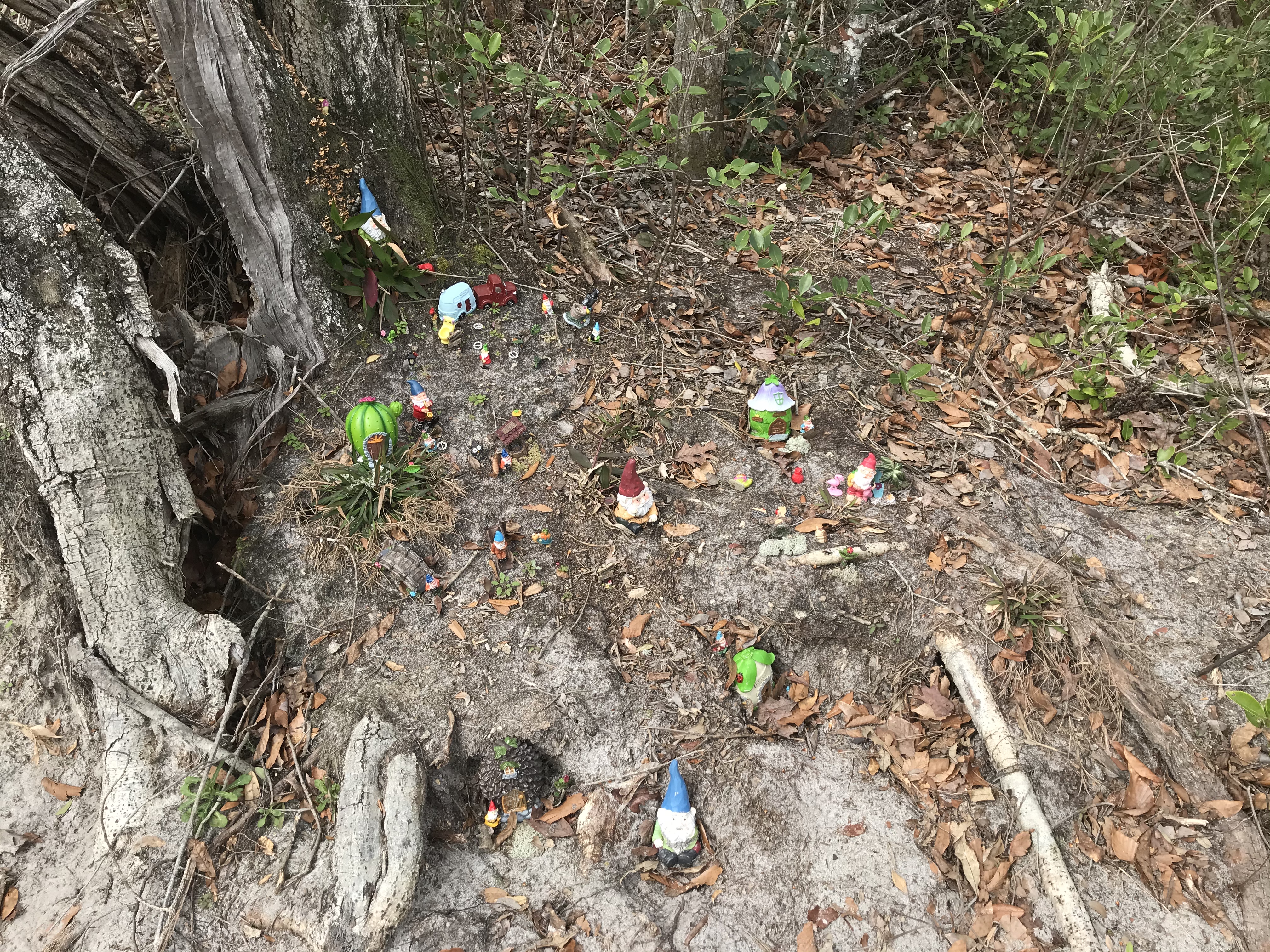 762AD6E0-E493-40B5-AFB0-415DE1758CFB