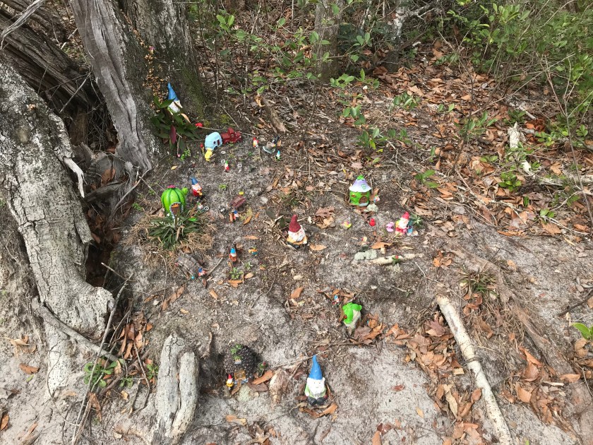 762AD6E0-E493-40B5-AFB0-415DE1758CFB