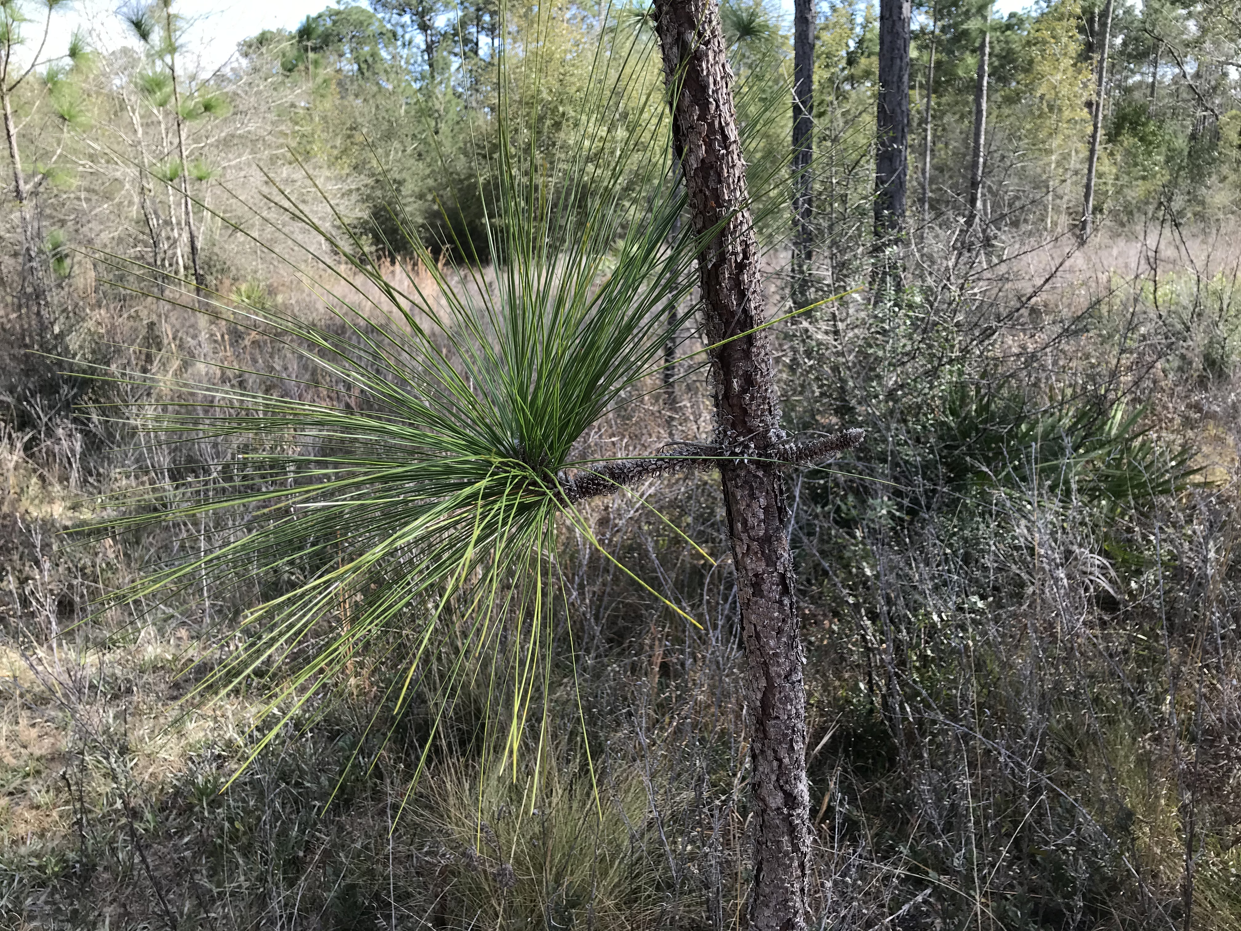 84B1E23C-034E-4EA4-92FB-5331533494AC