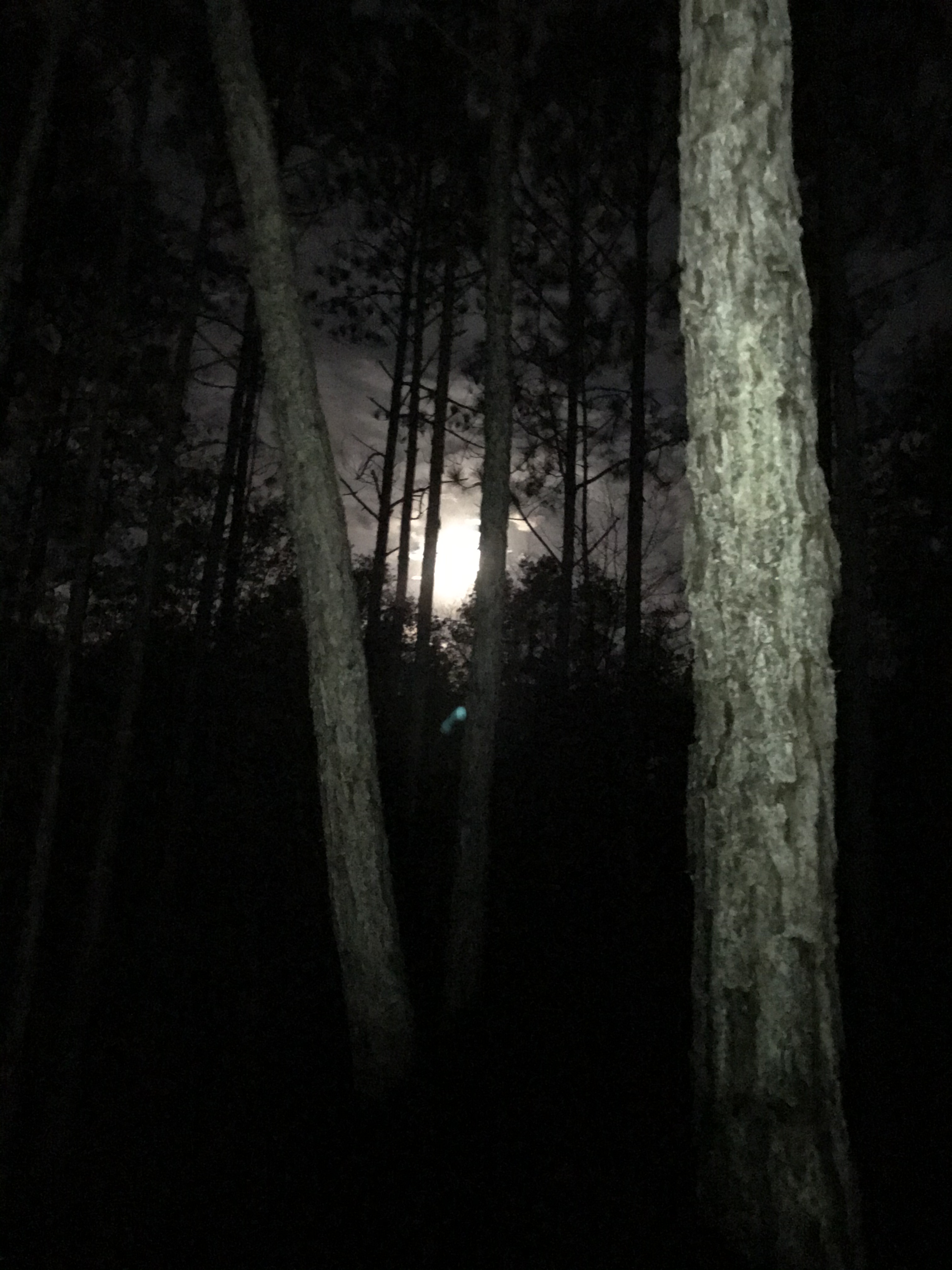 89E2B03F-2EC5-4F02-8D99-A64BBD7780E4