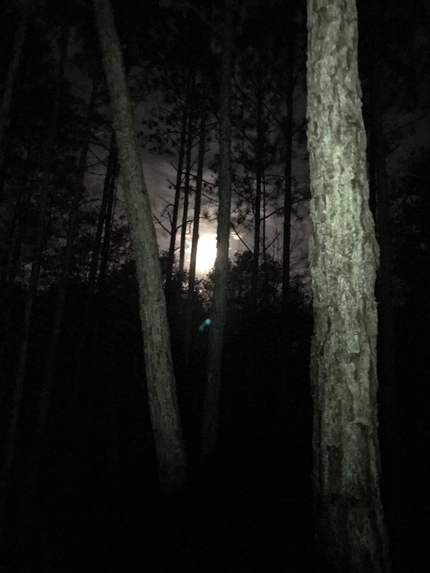 89E2B03F-2EC5-4F02-8D99-A64BBD7780E4