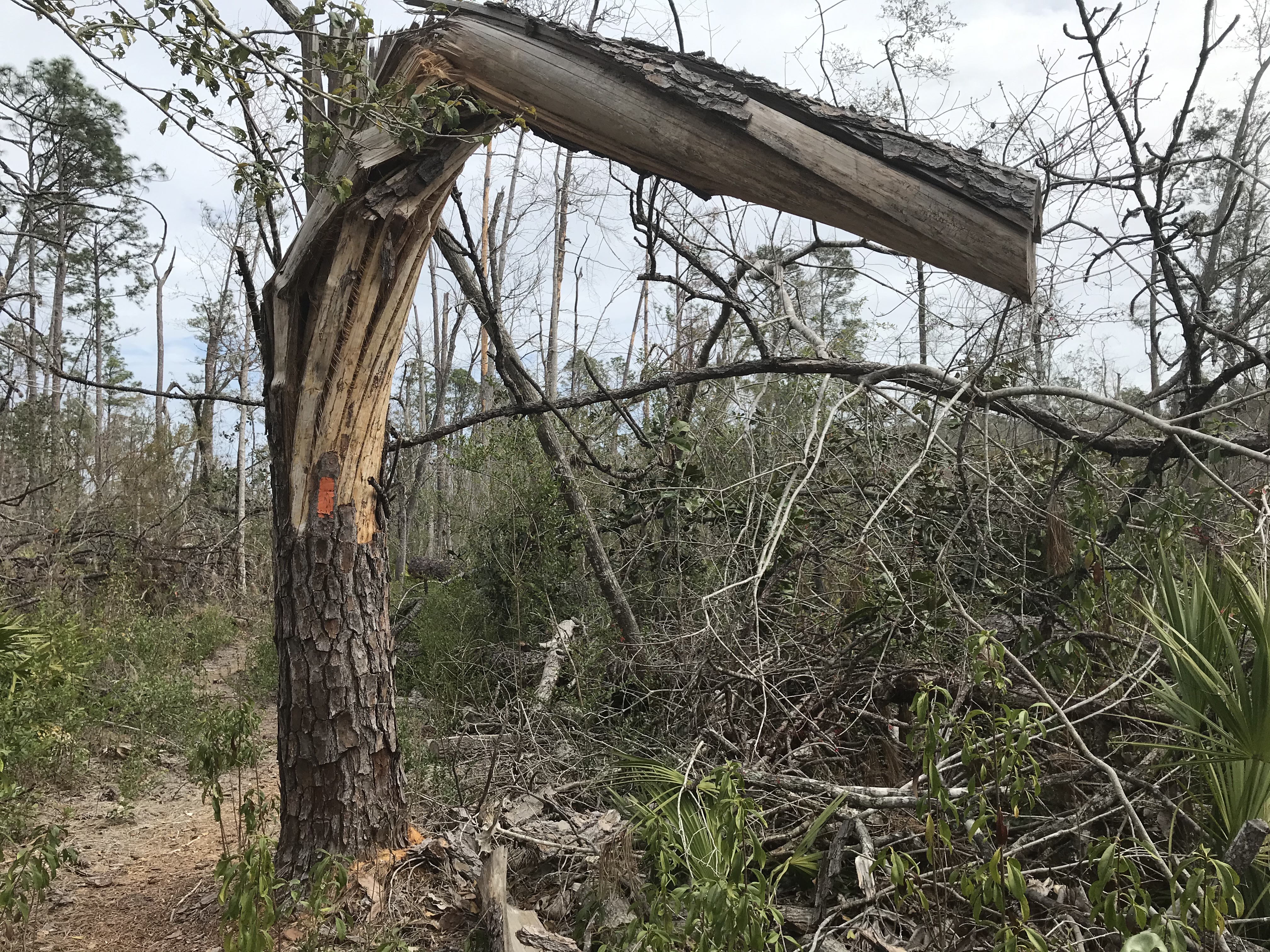 8C4E255F-7107-4C05-8CEE-4523FEB74323