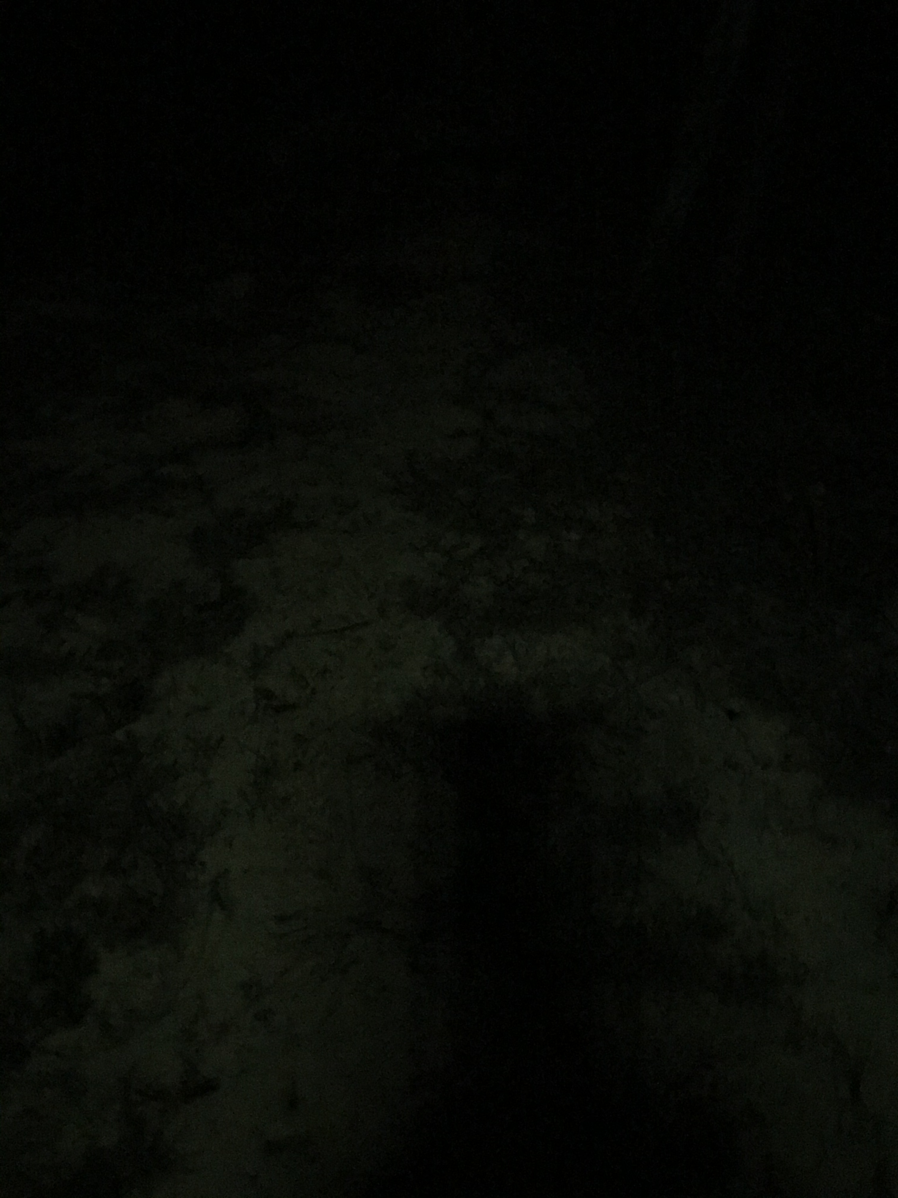 9C60C8C9-3F86-4FE1-90A4-B8E71CECB26A