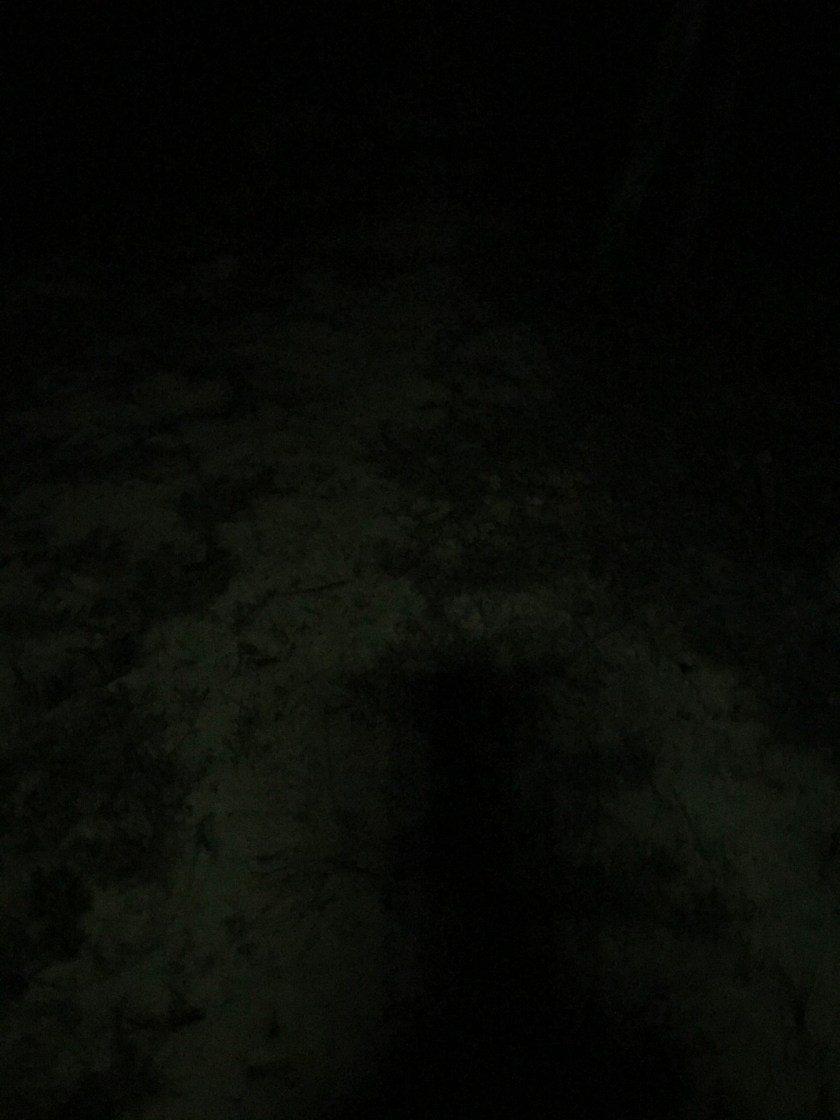 9C60C8C9-3F86-4FE1-90A4-B8E71CECB26A