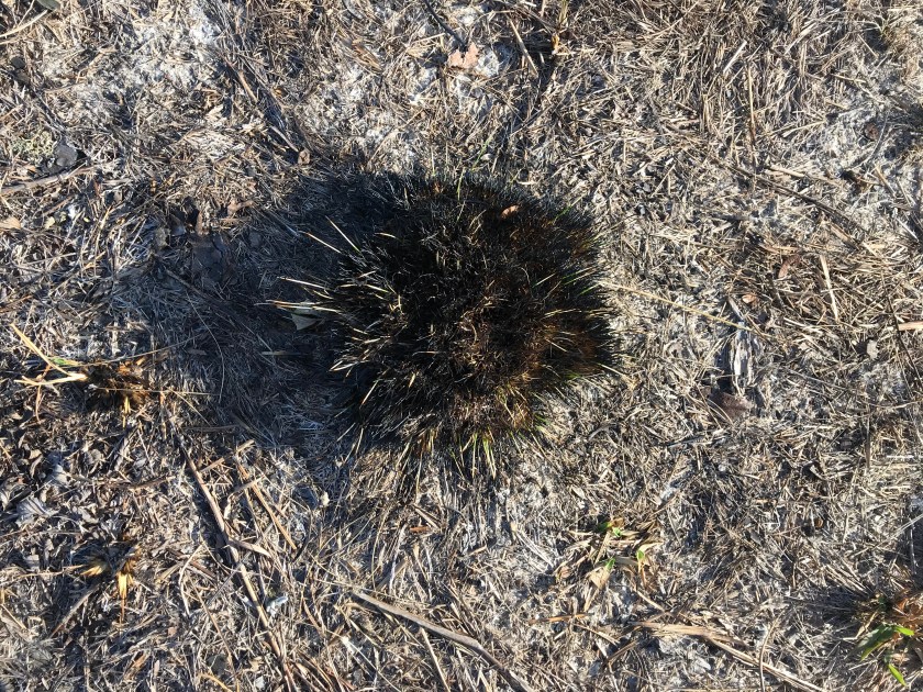 9E4E49F0-7C51-4B6F-AF0A-0A2DAD77CE08