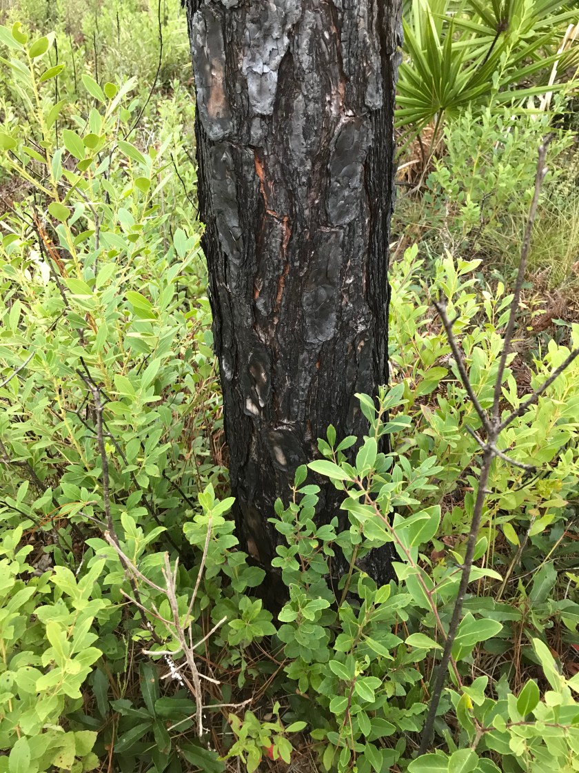 A121DC2B-3A30-4C21-A74E-2DCB35A7A6F7