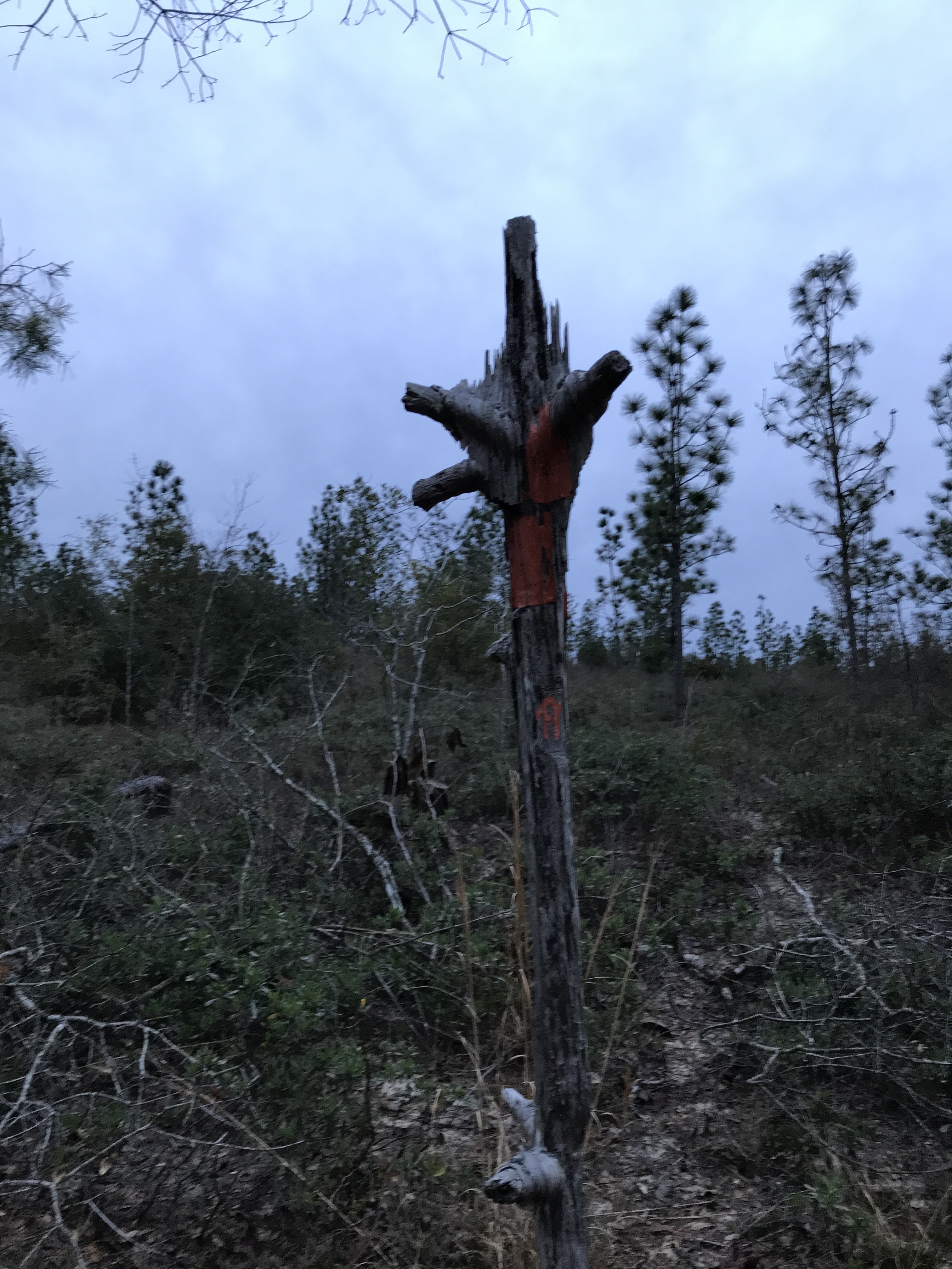 A1C54F39-7BA1-4DCF-B724-1C1455C0700C