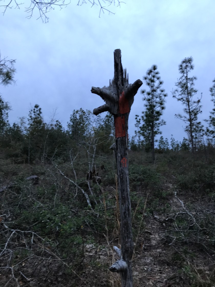 A1C54F39-7BA1-4DCF-B724-1C1455C0700C