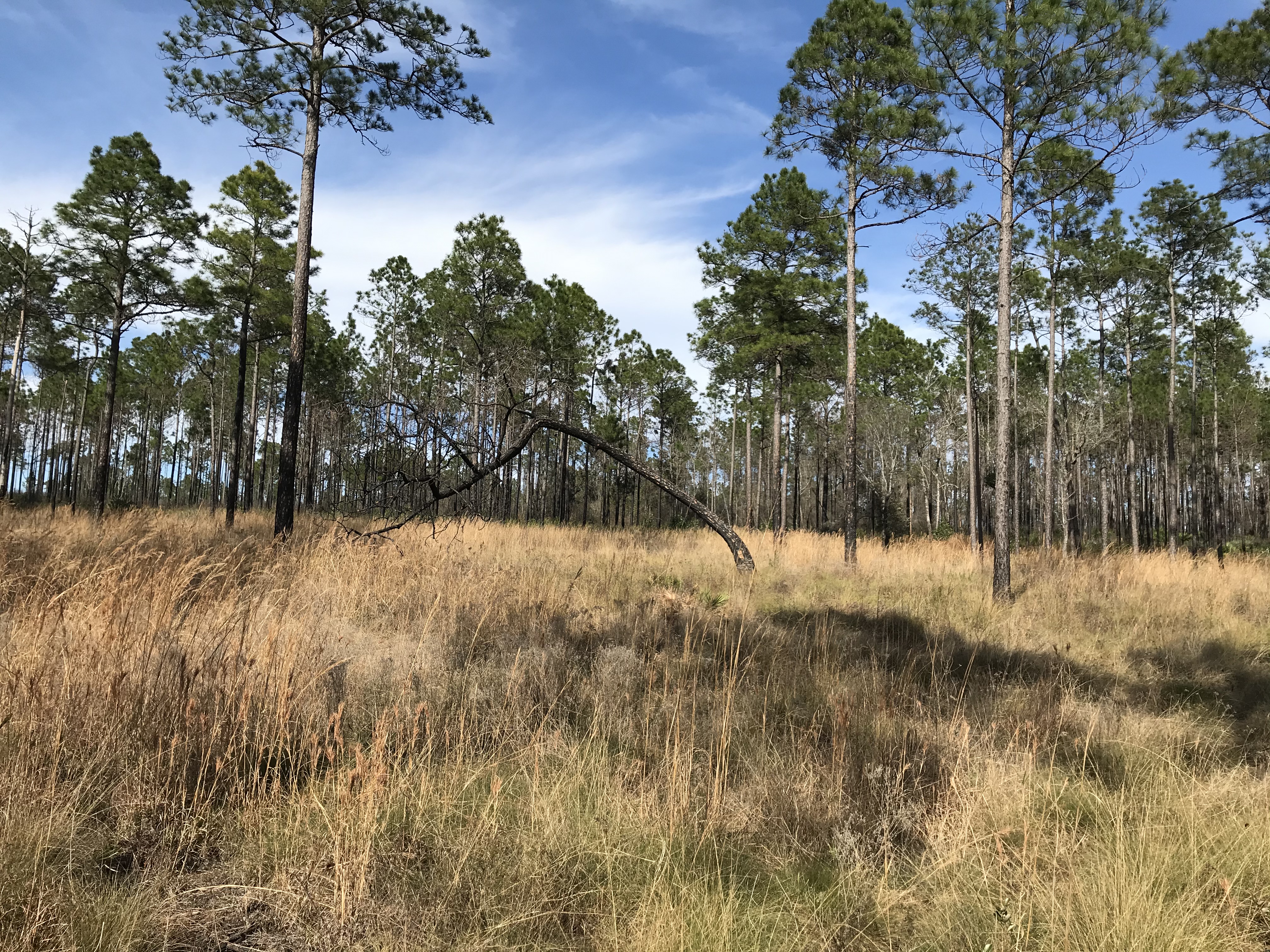 A72404DB-AFA5-48AB-83A5-B29071B4E193