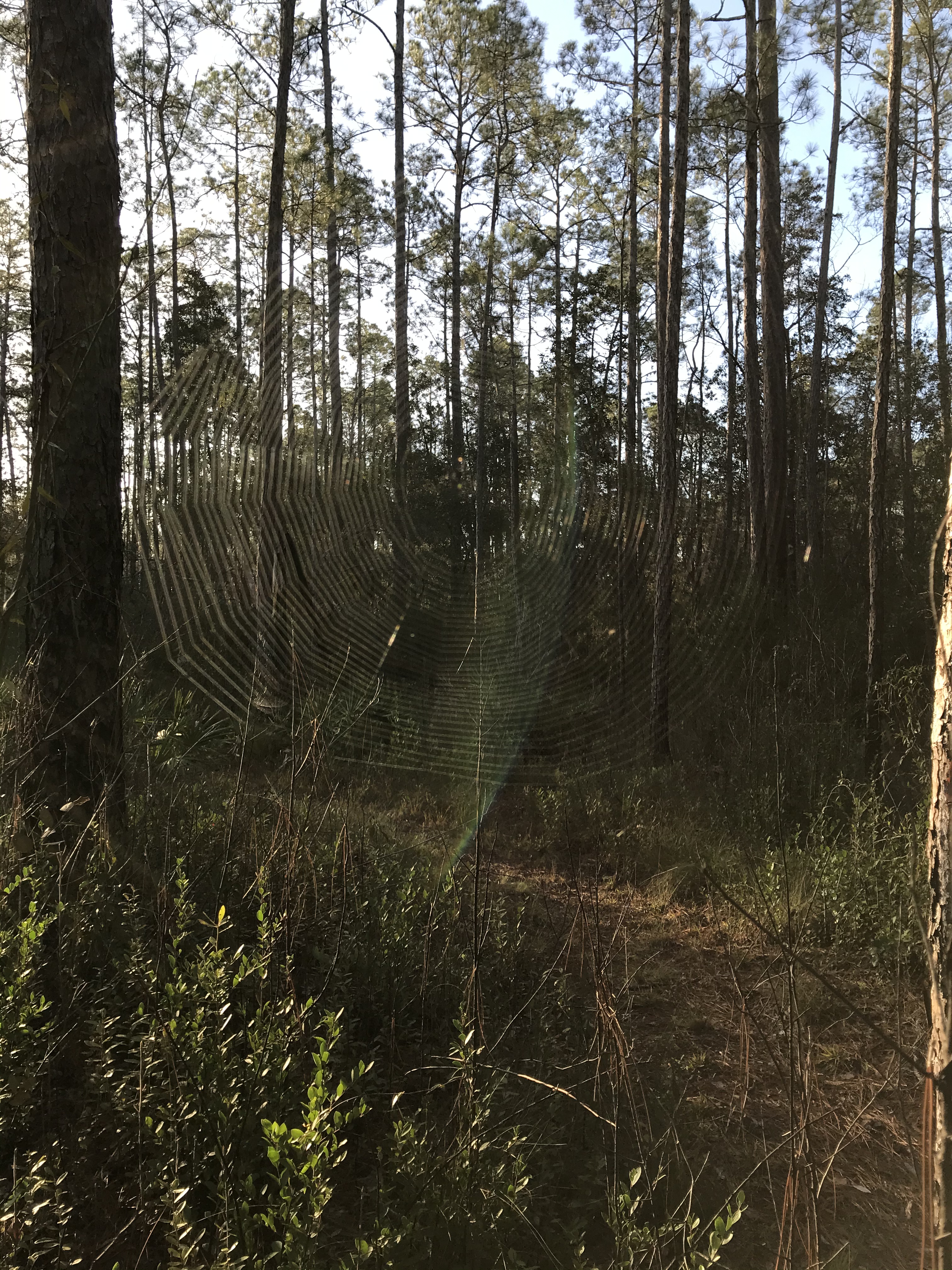 AA42B5EB-27FC-49BA-97C3-0E4105C58D7A